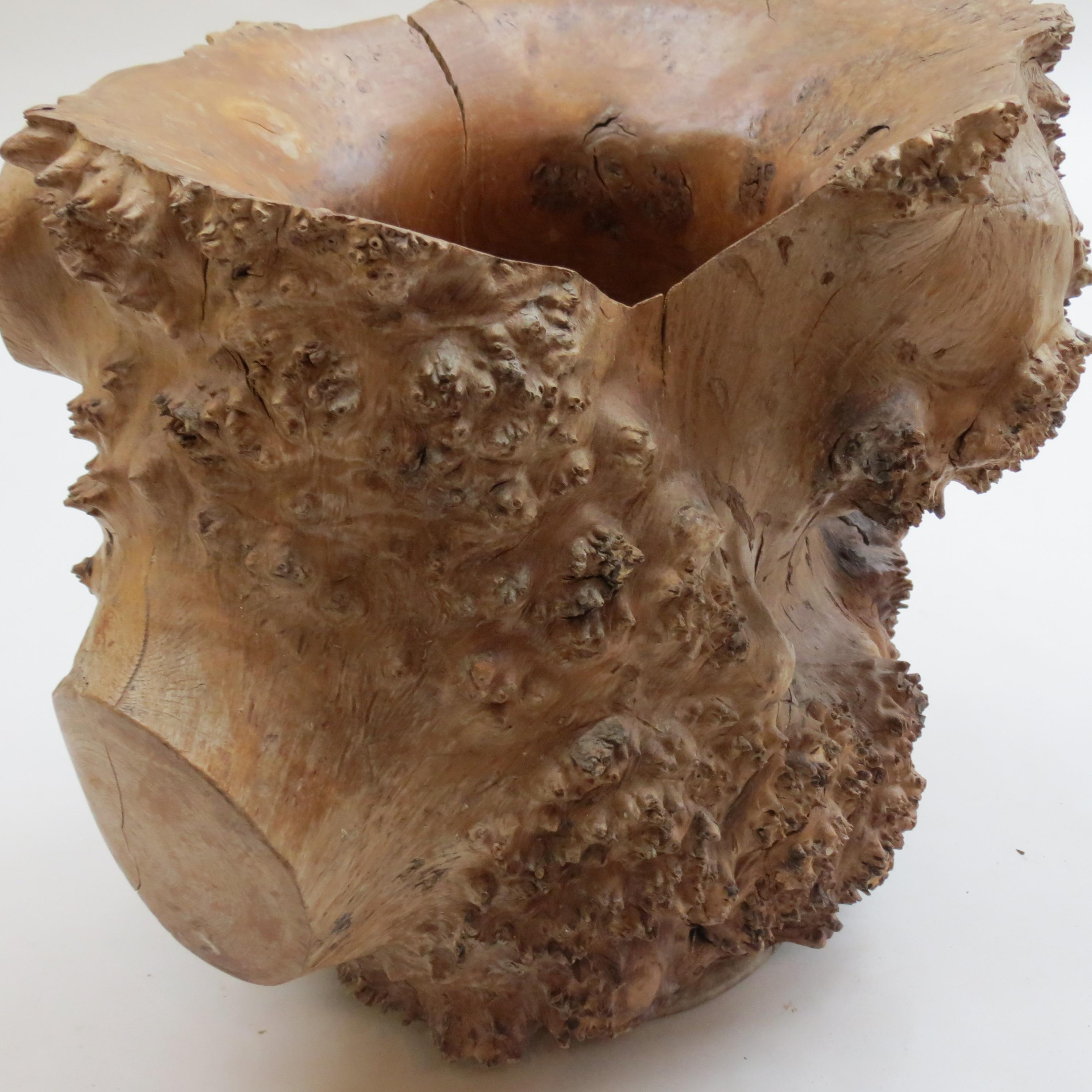 A large hand produced brush pot made from Burr Elm. A very sculptural piece with textured exterior and smooth interior to the pot. This piece dates from the 1980s.

In good condition, natural drying of the wood has produced various superficial
