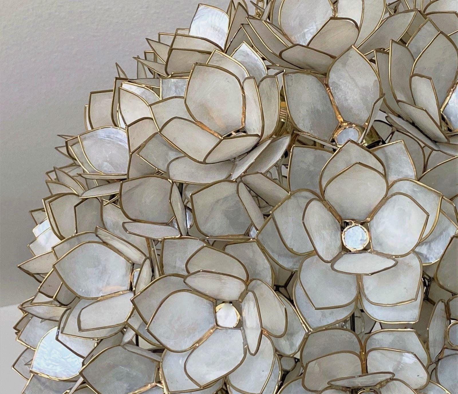 shell ceiling lamp