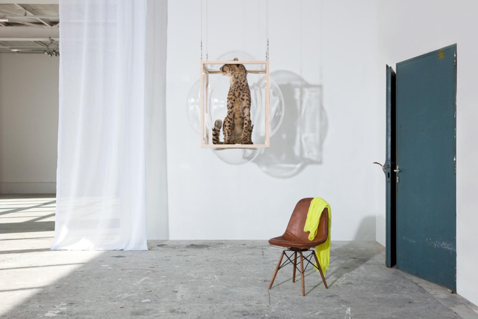 Large Hanging Curator Bubble Cabinet by Studio Thier & Van Daalen For Sale 2