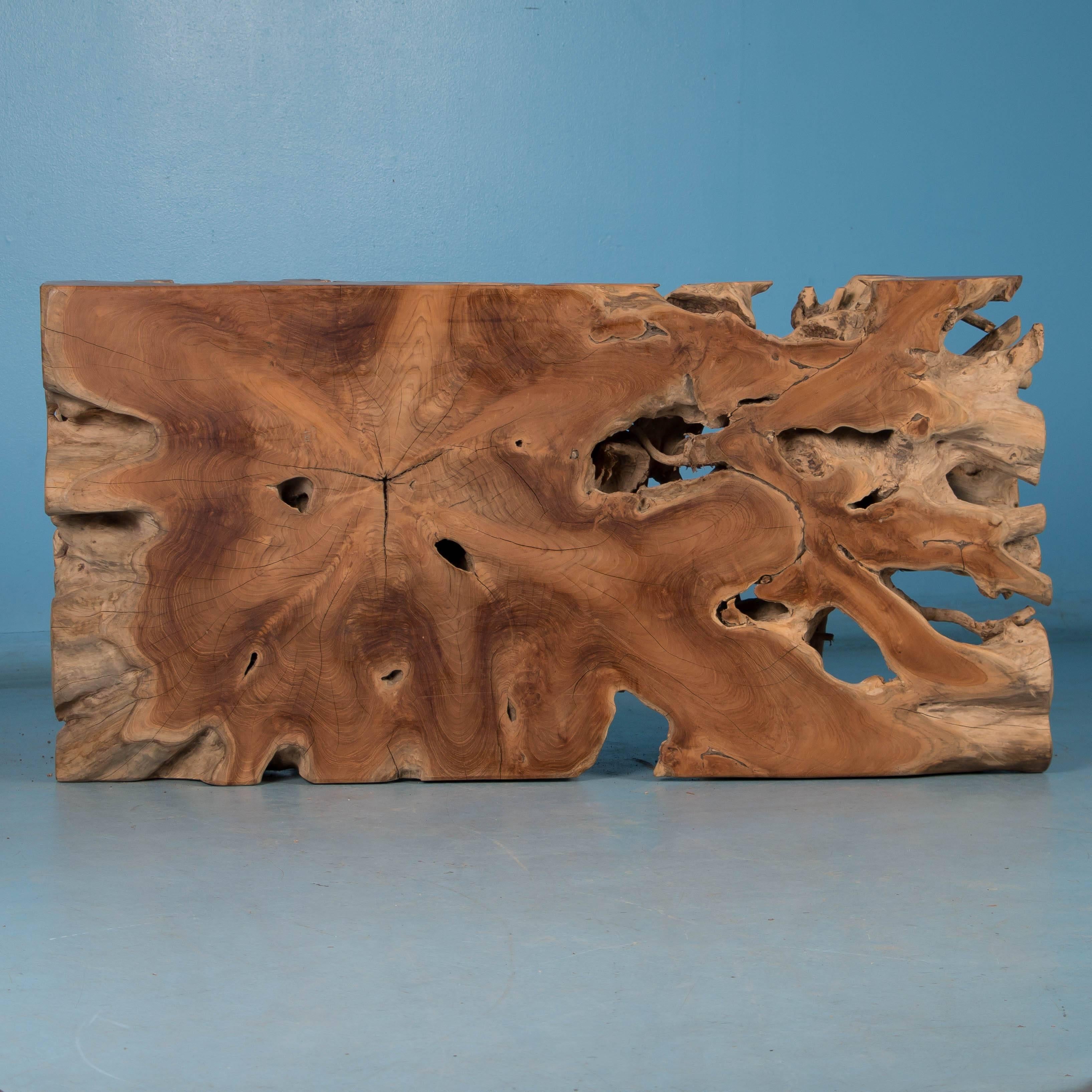 Contemporary Large Hardwood Root Coffee Table