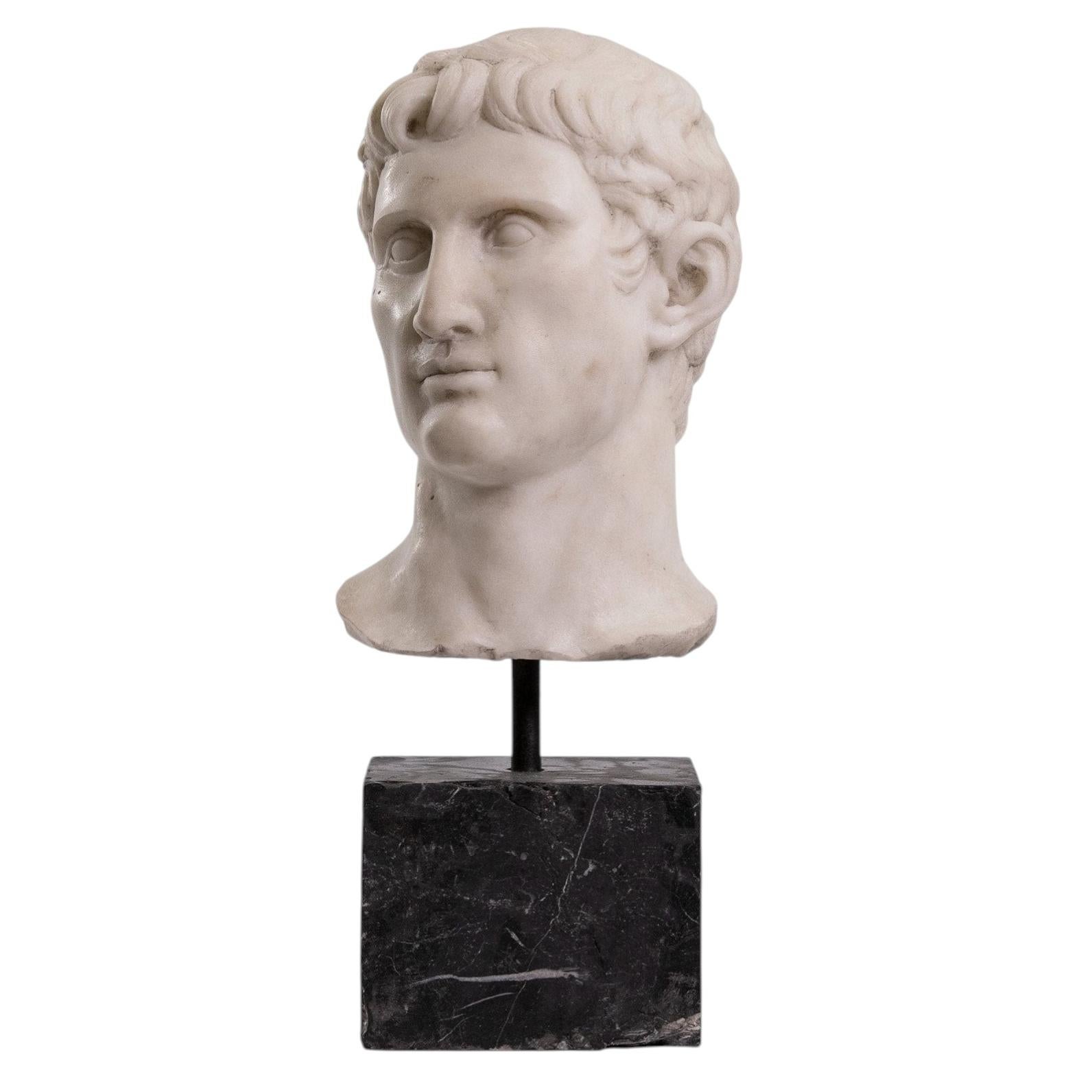 Large Head of Augustus For Sale