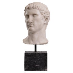 Large Head of Augustus