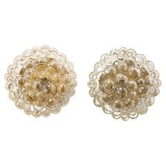 Large Helena Tynell Champagne Glass Sconces