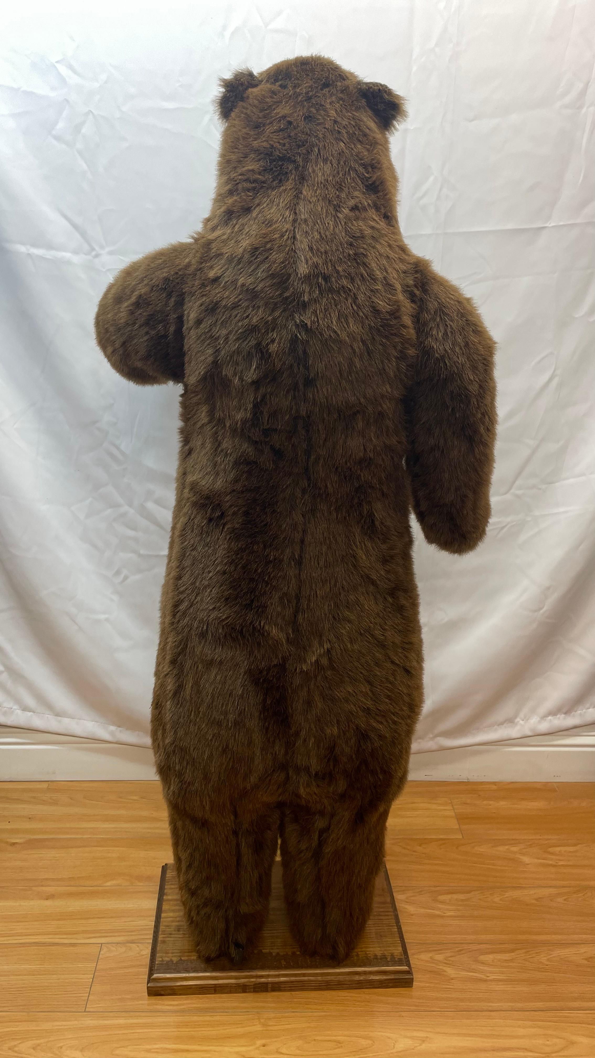 Large henhouse bear by the henhouse company in Norwalk, Ohio For Sale 1