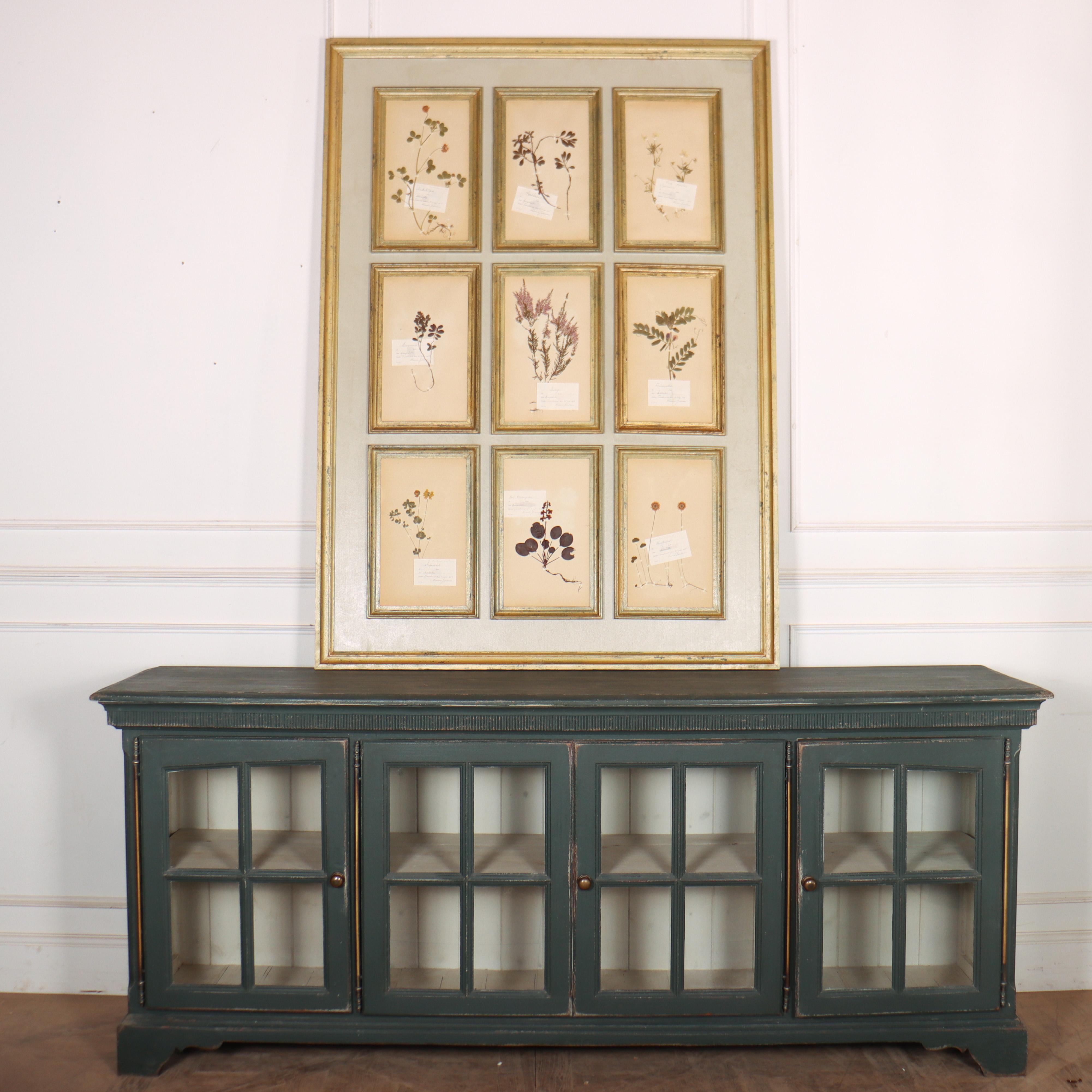 Gran panel decorativo de pared formado por 9 herbarios suecos de principios del siglo XX en marcos de madera pintados a mano a medida. Los herbarios están fechados en 1903 y llevan etiquetas informativas y especímenes botánicos en un precioso papel