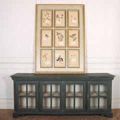 Large Herbarium Wall Panel