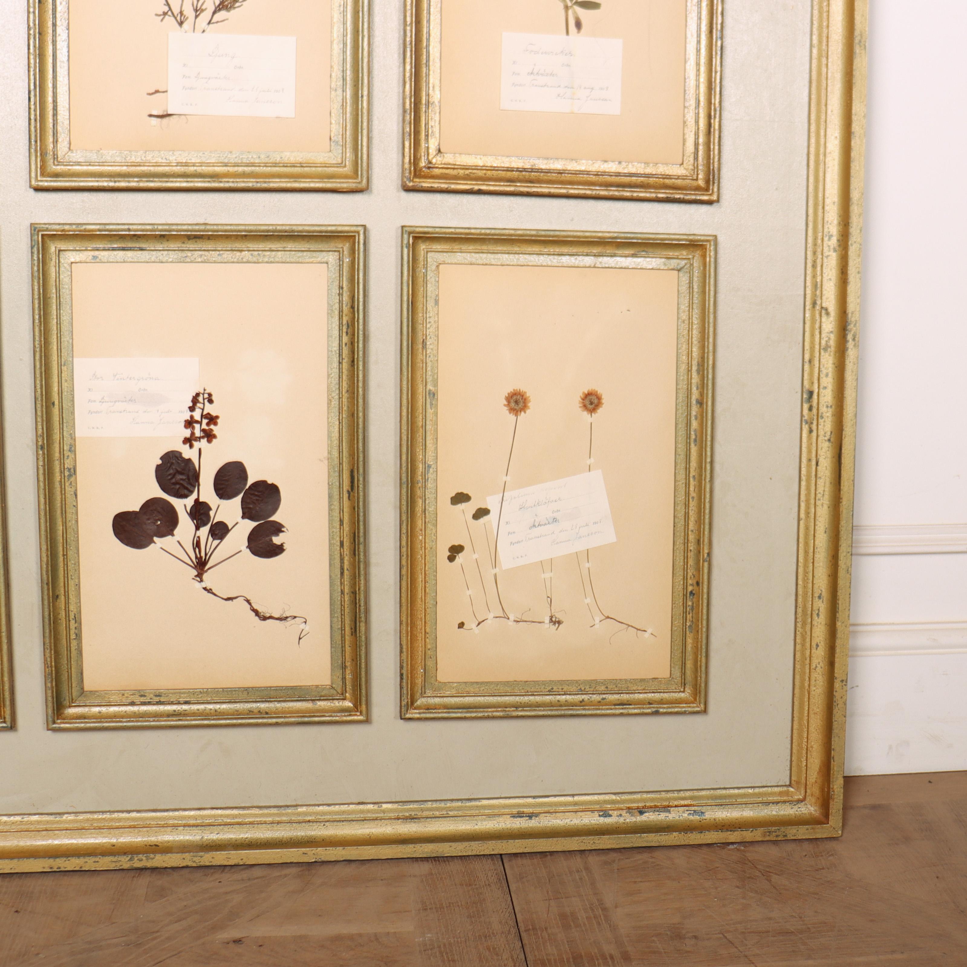 Panel de Pared Herbario Grande Pintado a mano en venta
