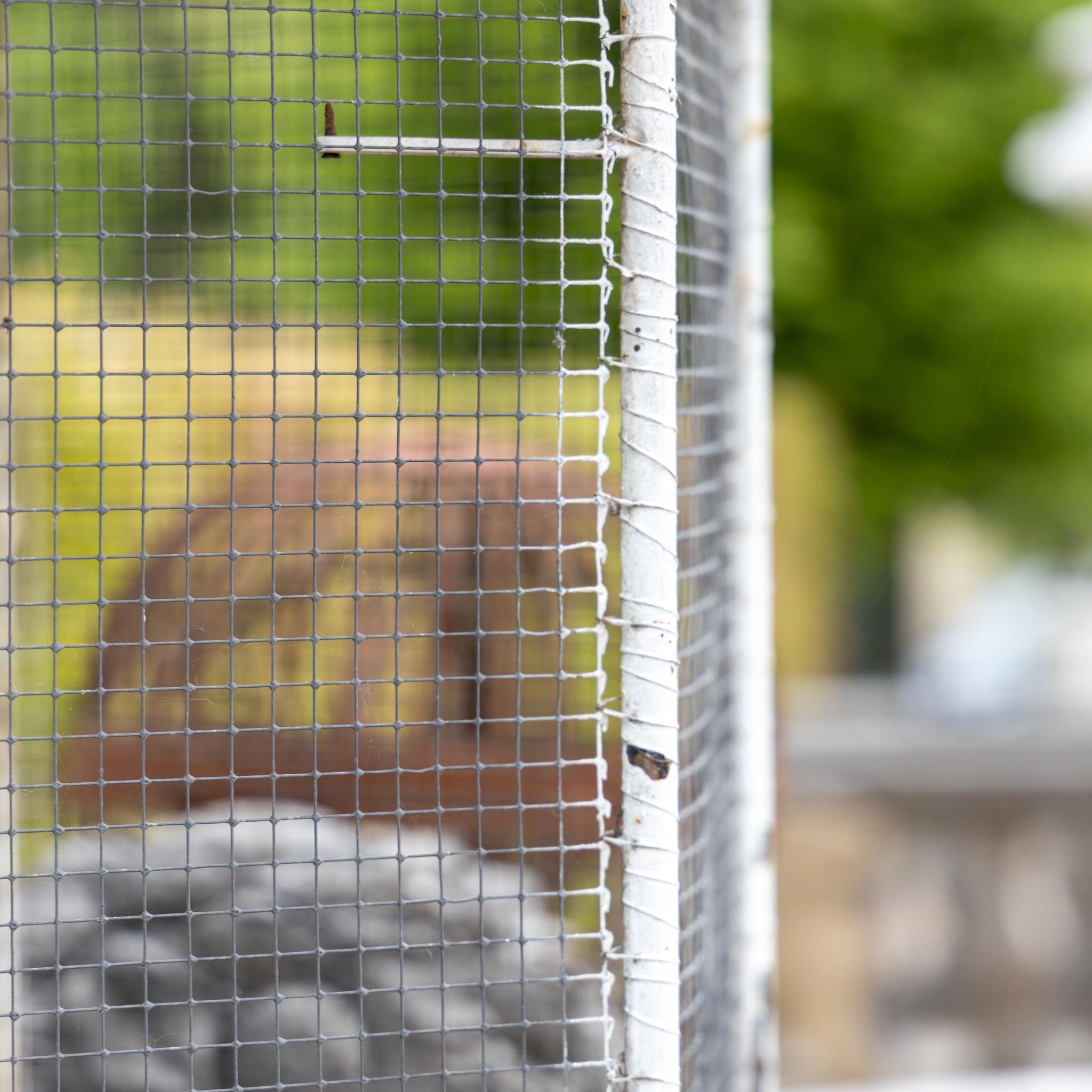 Large Hexagonal Birdcage with Weather Vane, Late 19th Century For Sale 4