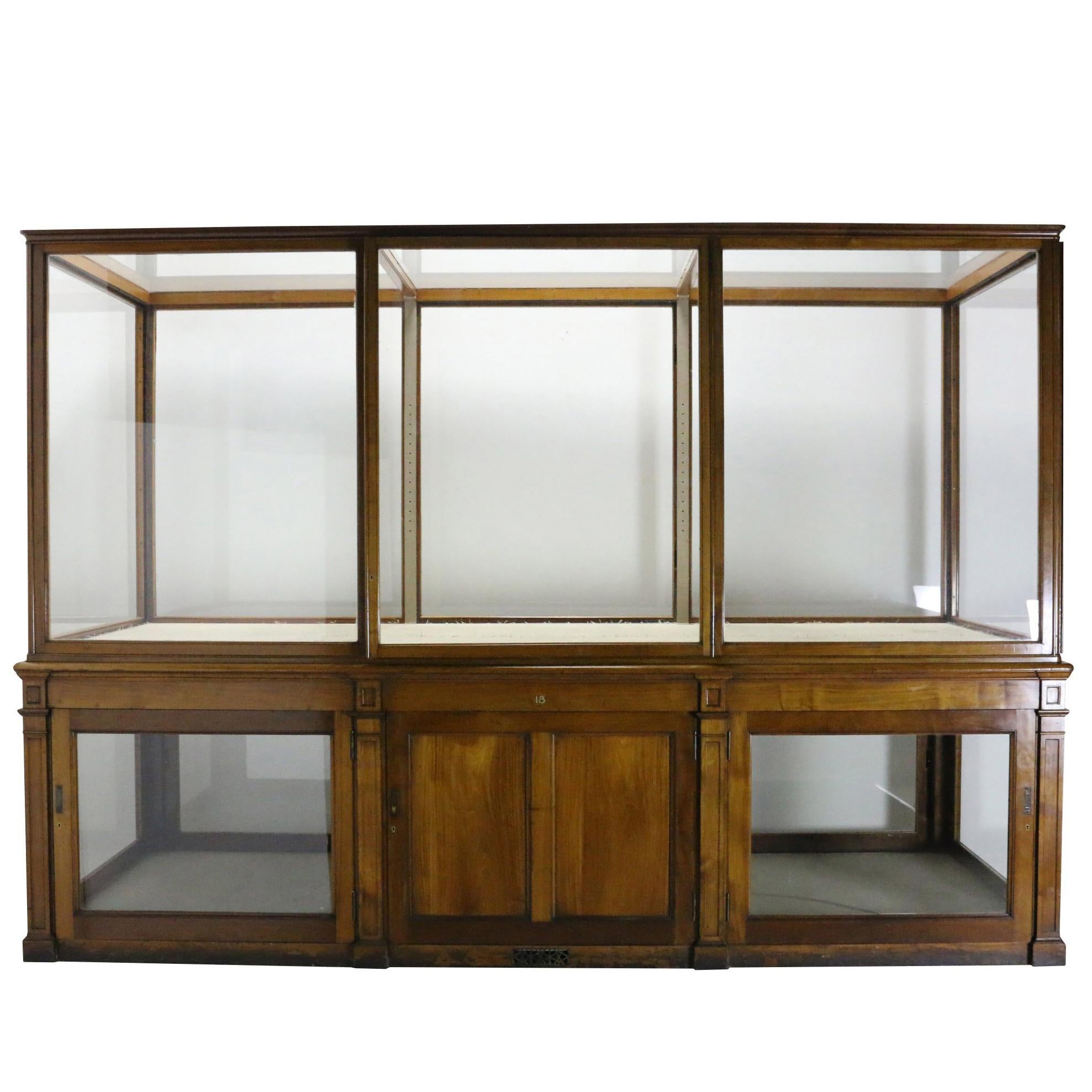 Large Ornate Mahogany Display Case For Sale at 1stdibs