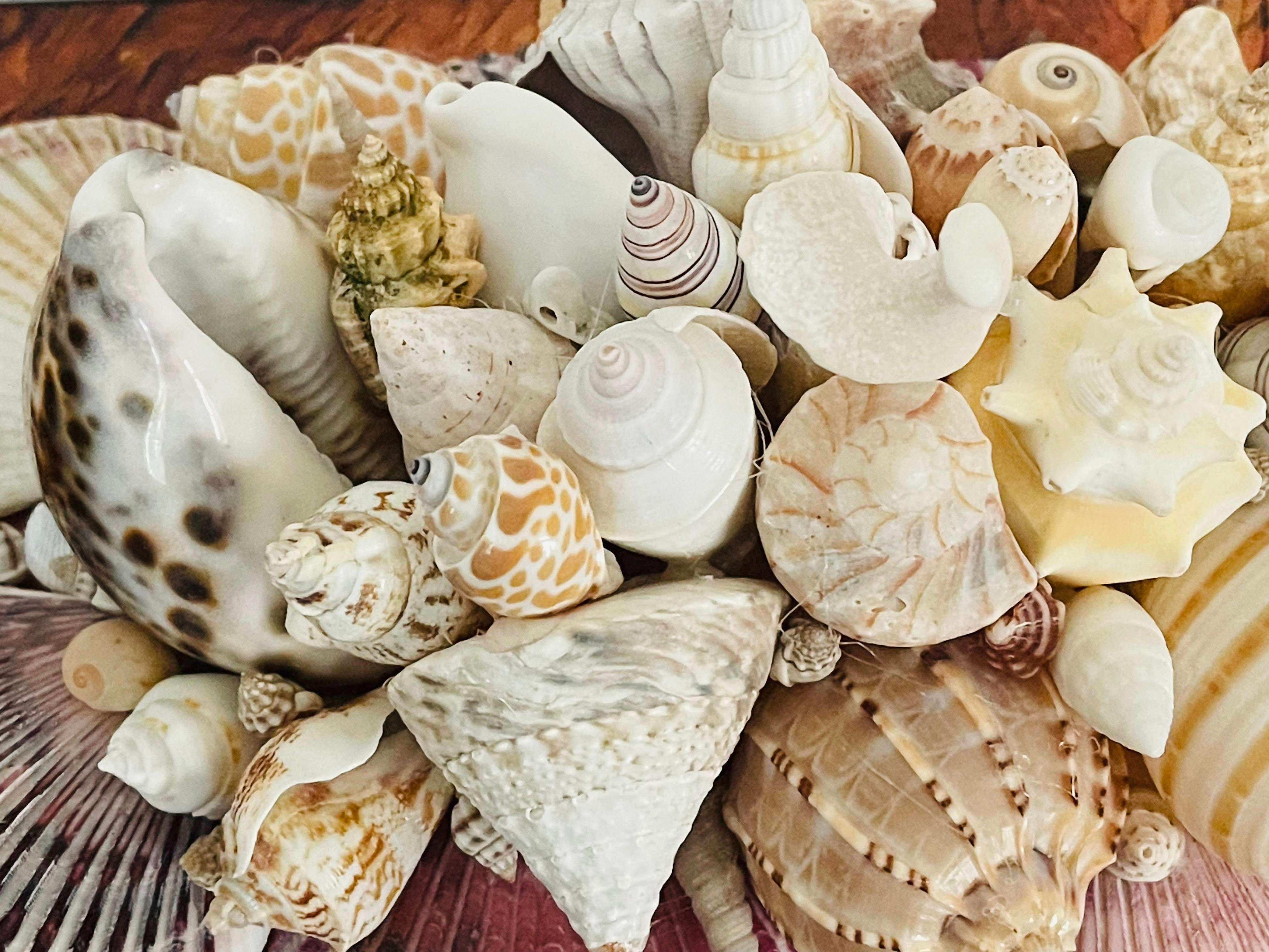 Late 20th Century Large Himidot Box Decorated with Sez Shells Maitland Smith Style For Sale