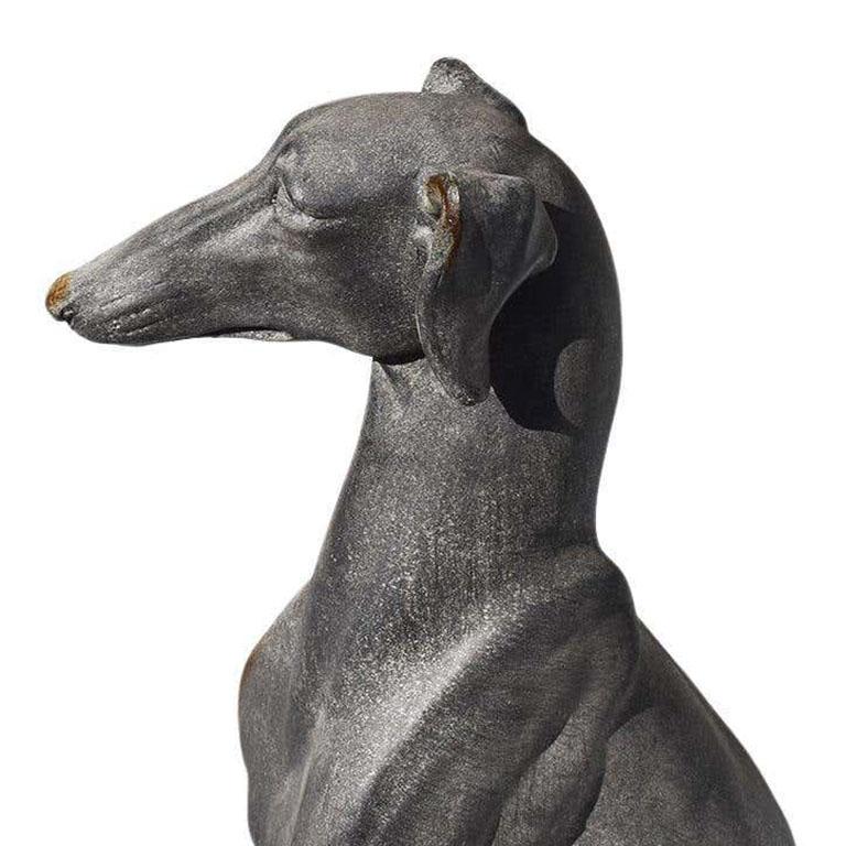 gray whippet