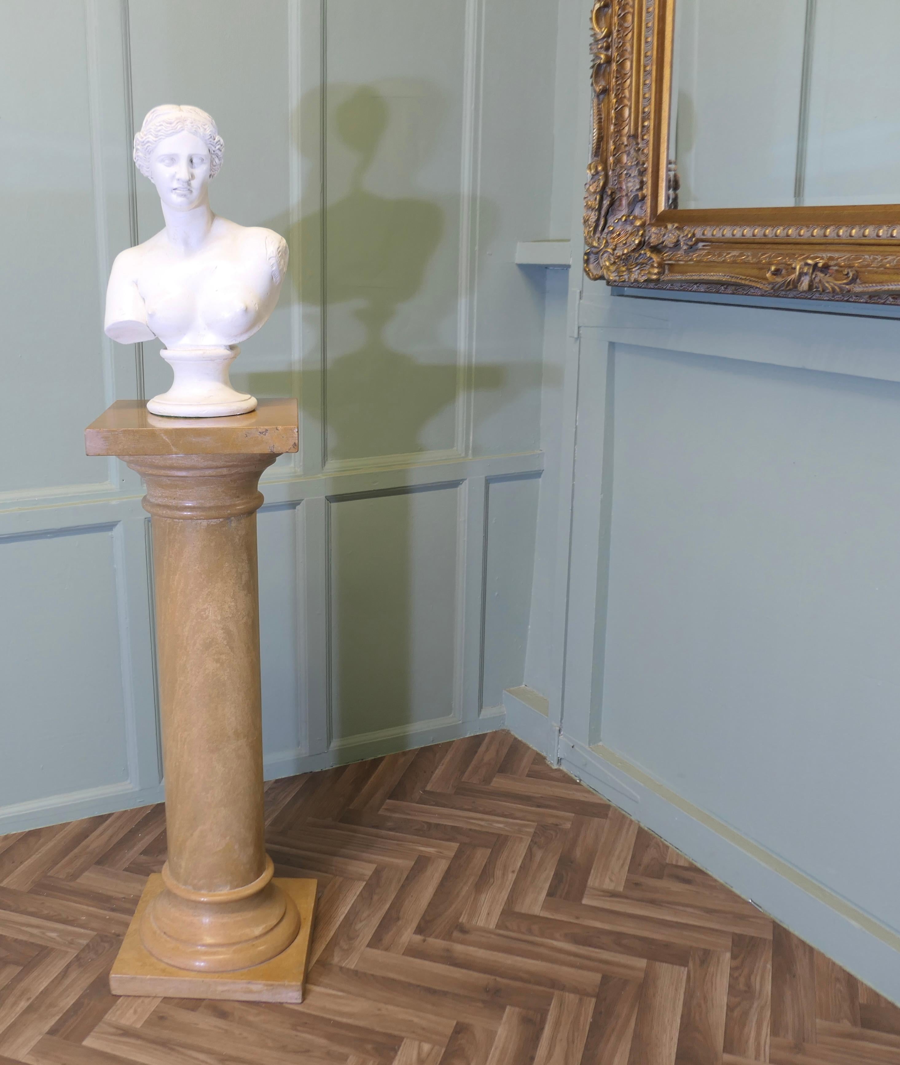 Classical Roman Large Honey Coloured Marble Column  This is a very heavy piece For Sale