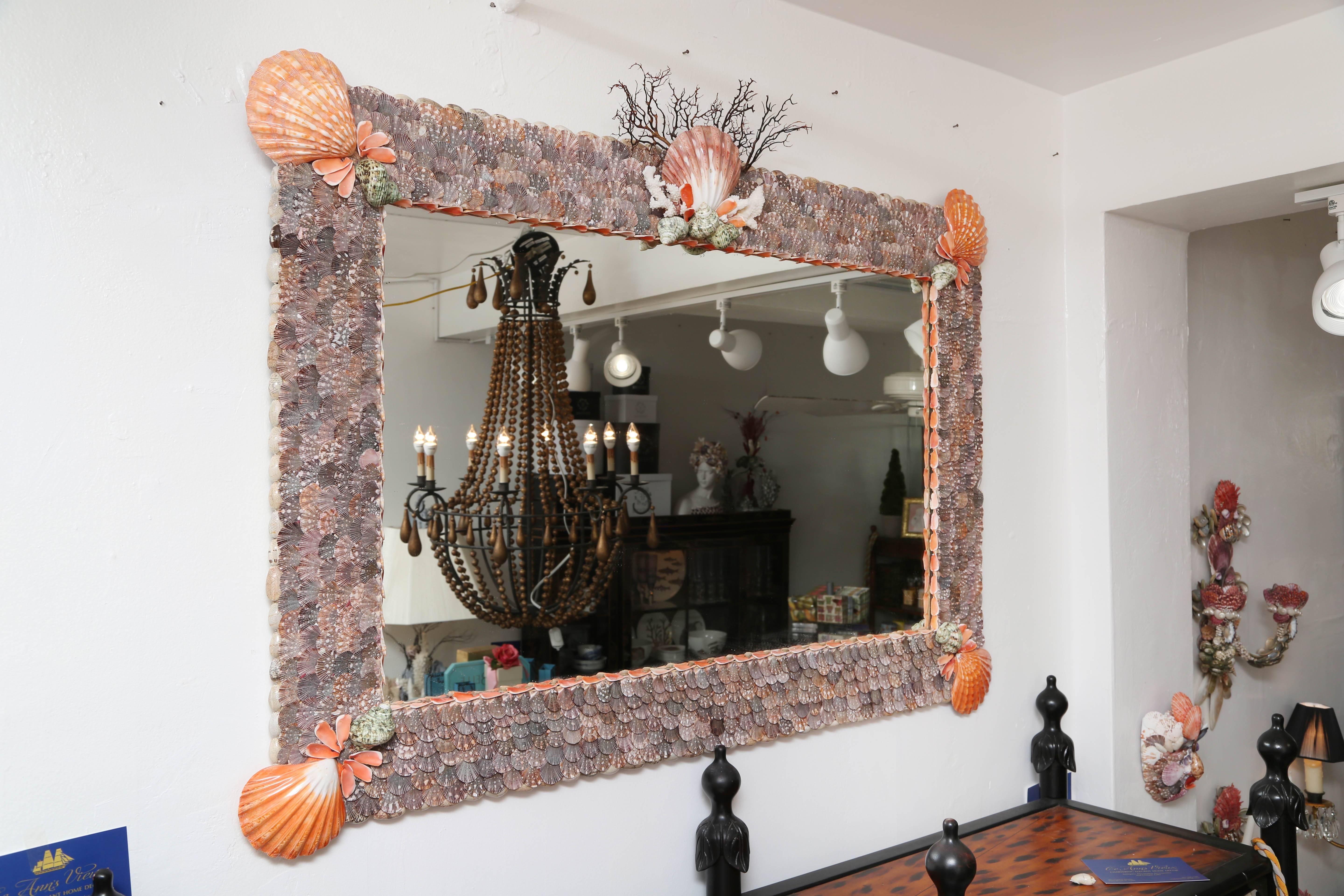 Handcrafted seashell mirror featuring high quality specimen seashells. Organic colors of burnt brown shells are complimented with striking orange large scallop seashells on the corners. White coral and dried seaweed accent the top of the mirror.