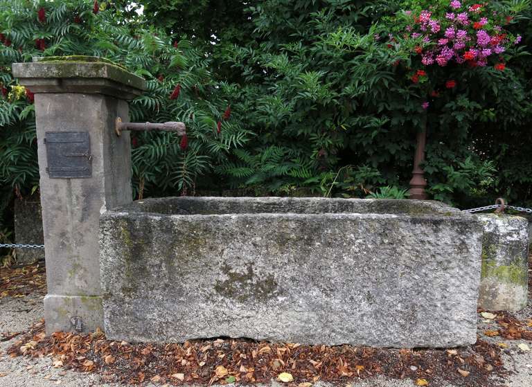 18th Century and Earlier French antique limestone Horses through fountain 17th Century France For Sale