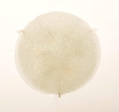 Large Ice Glass Flush Mount or Wall Mount Lamp