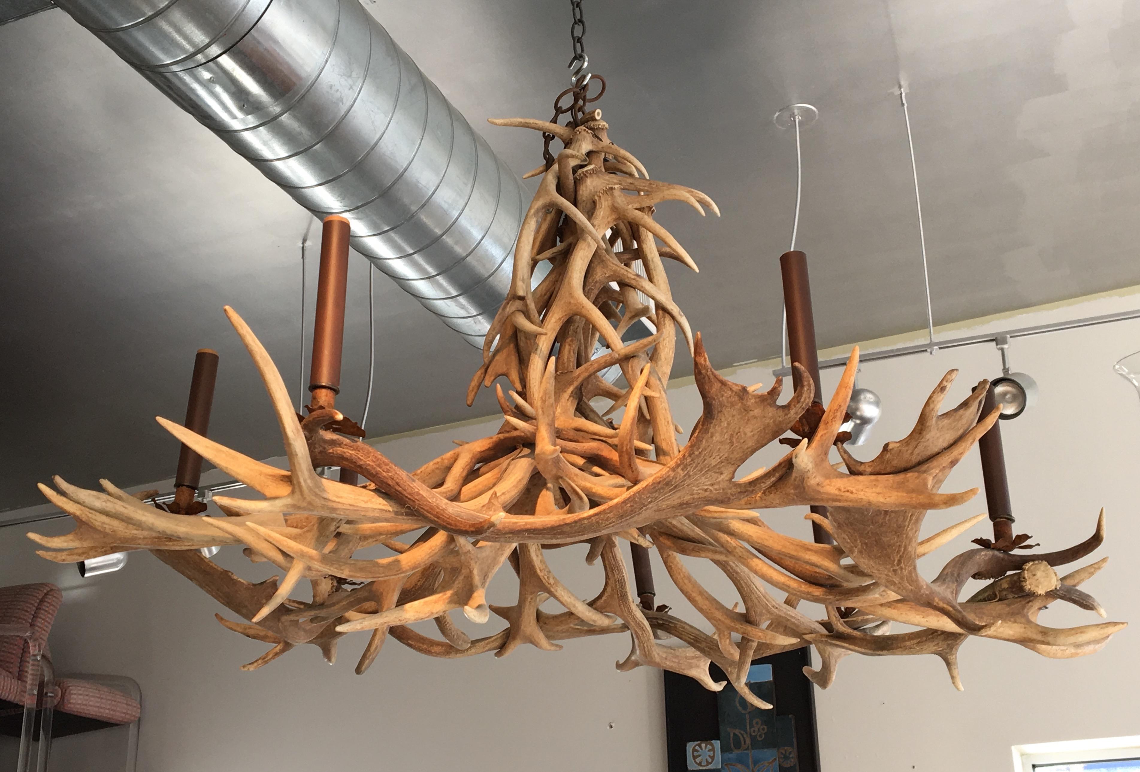 large antler chandelier