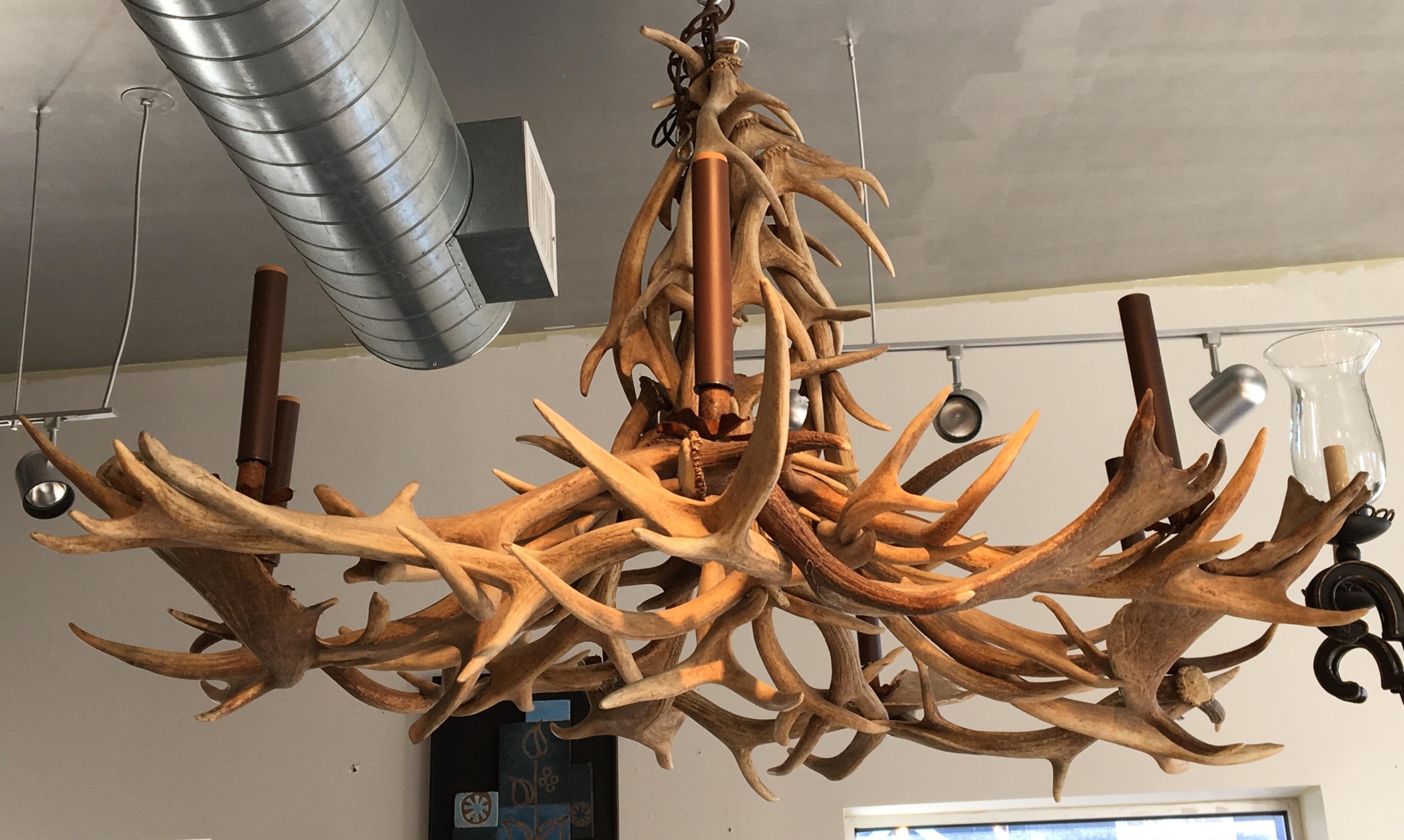 Large Impressive Midcentury Antler Chandelier In Good Condition In Pound Ridge, NY