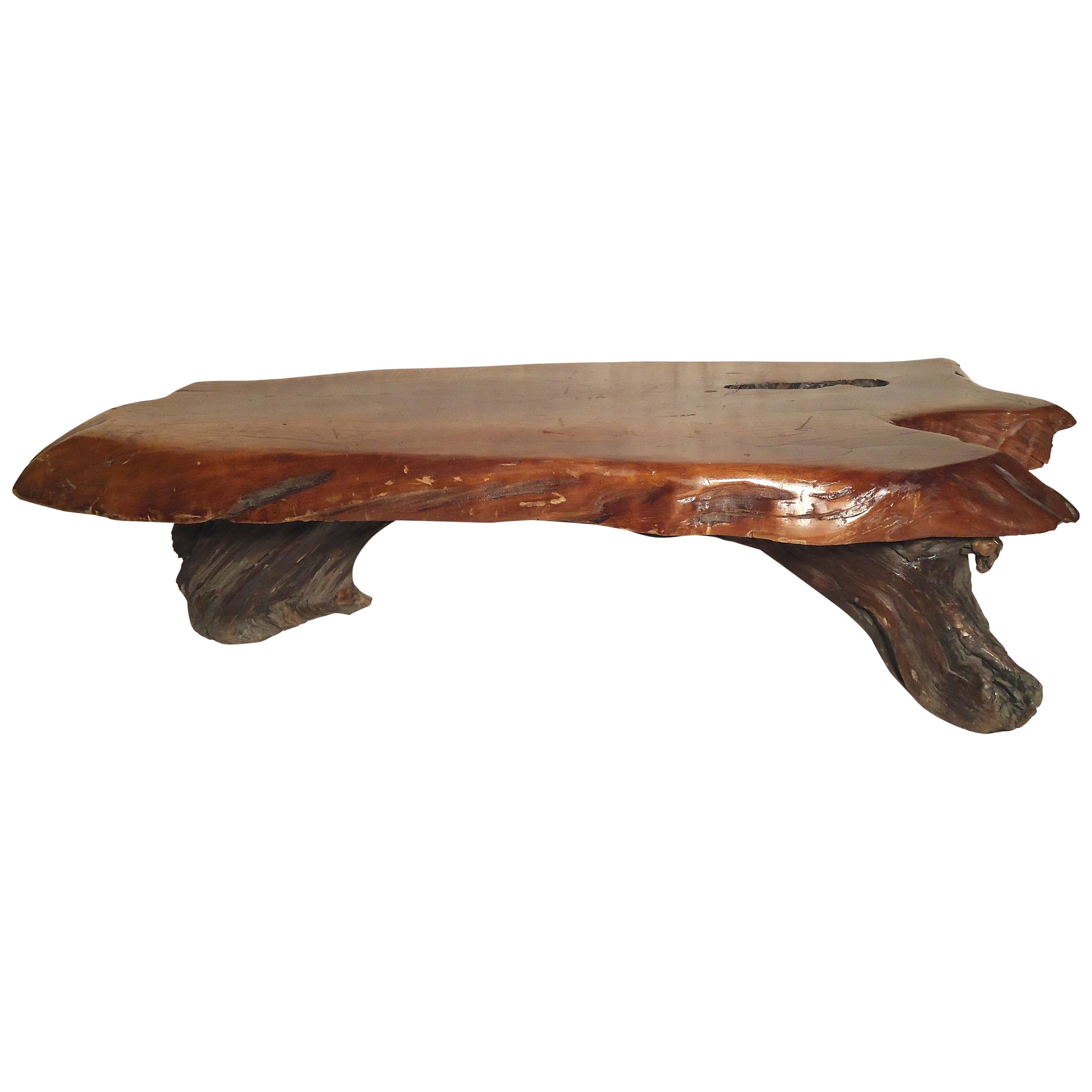Large Impressive Tree Slab Table