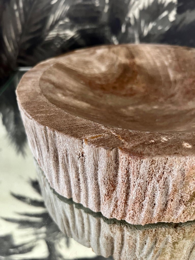 Large Indonesian Petrified Wood Bowl at 1stDibs