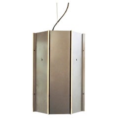 Large Industrial B-1011.0000 Pendant Lamp by RAAK