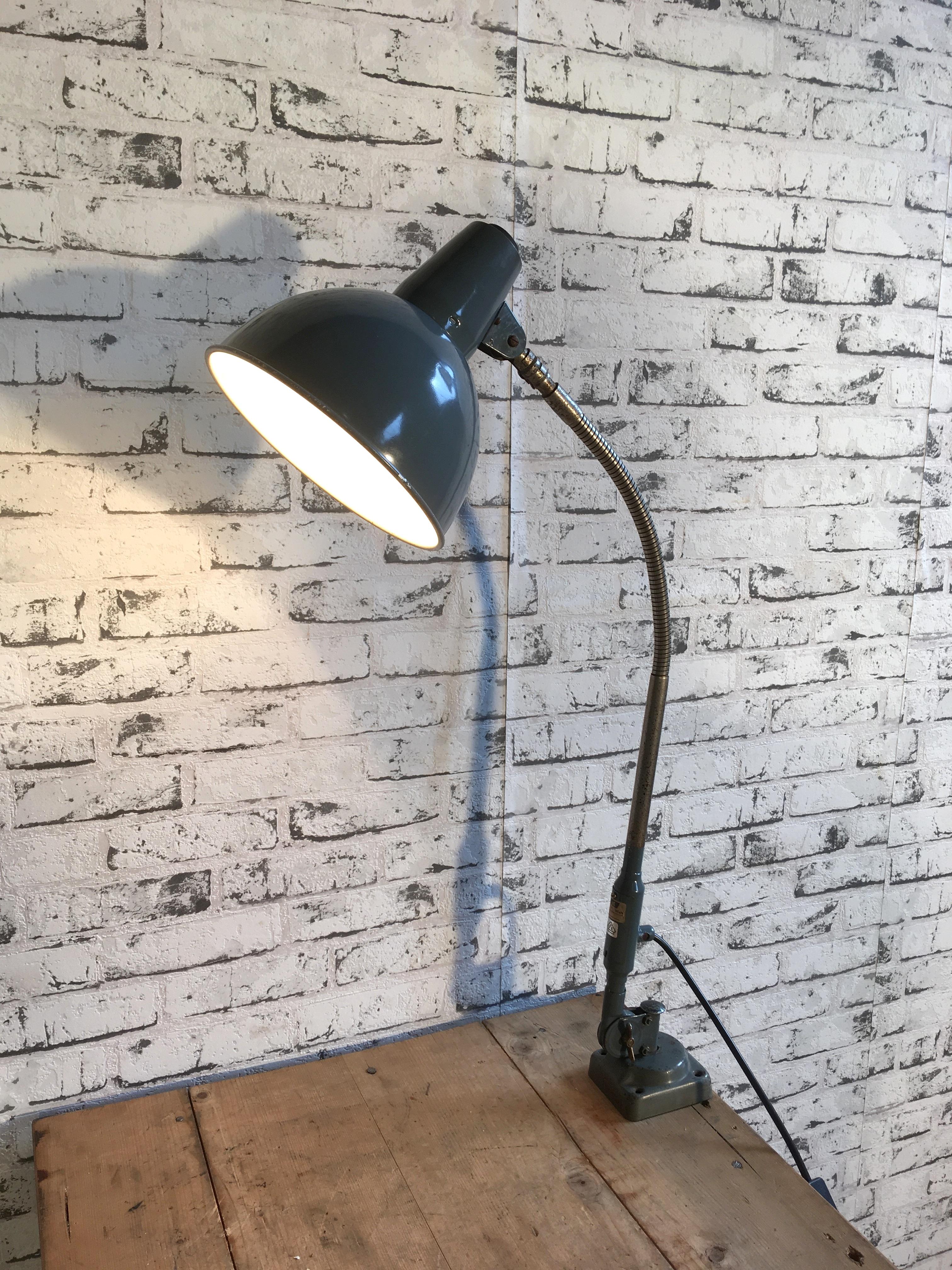 Large Industrial Grey Gooseneck Desk Lamp from SIS, 1950s 3