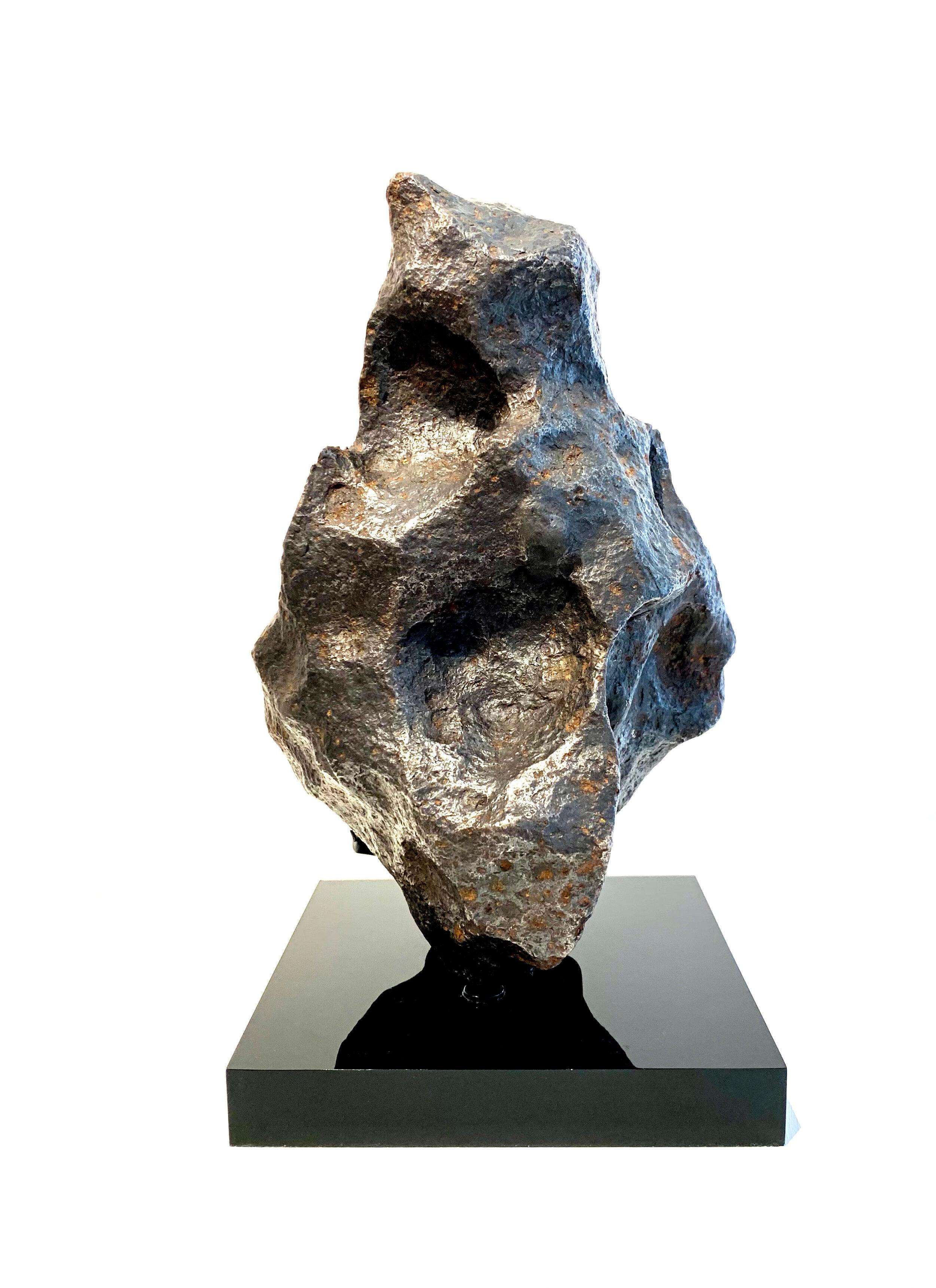 Iron Meteorite. Campo del Cielo, Argentina. Circa 4.5 billion years old. Sold with bespoke acrylic display stand

Natural History. From rare dinosaur skulls and Stone Age tools to the world’s earliest animals that date back millions of years, the
