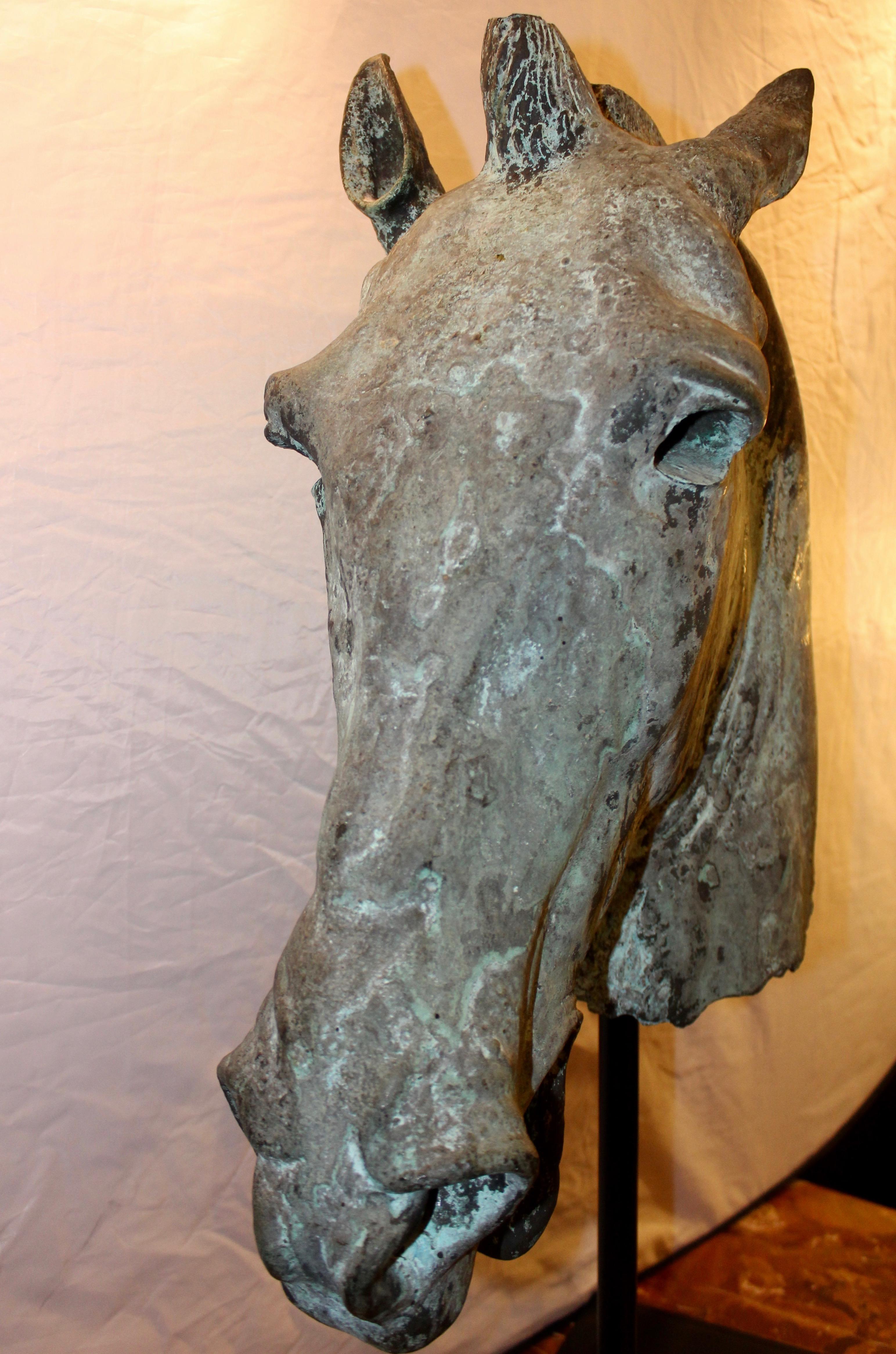 Large Italian 19th Century Bronze Grand Tour Sculpture of a Horses Head For Sale 1