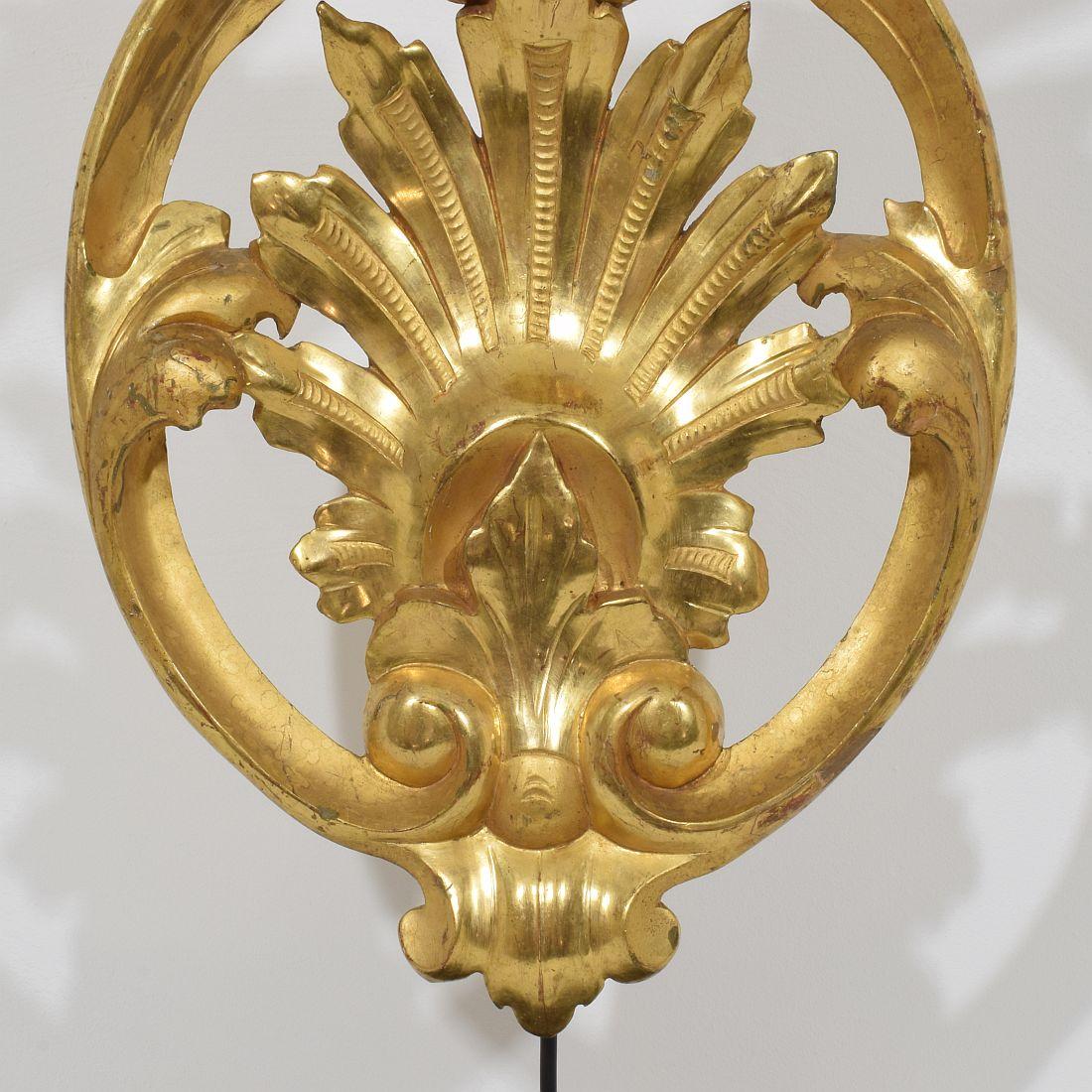Large Italian 19th Century Carved Giltwood Ornament 6