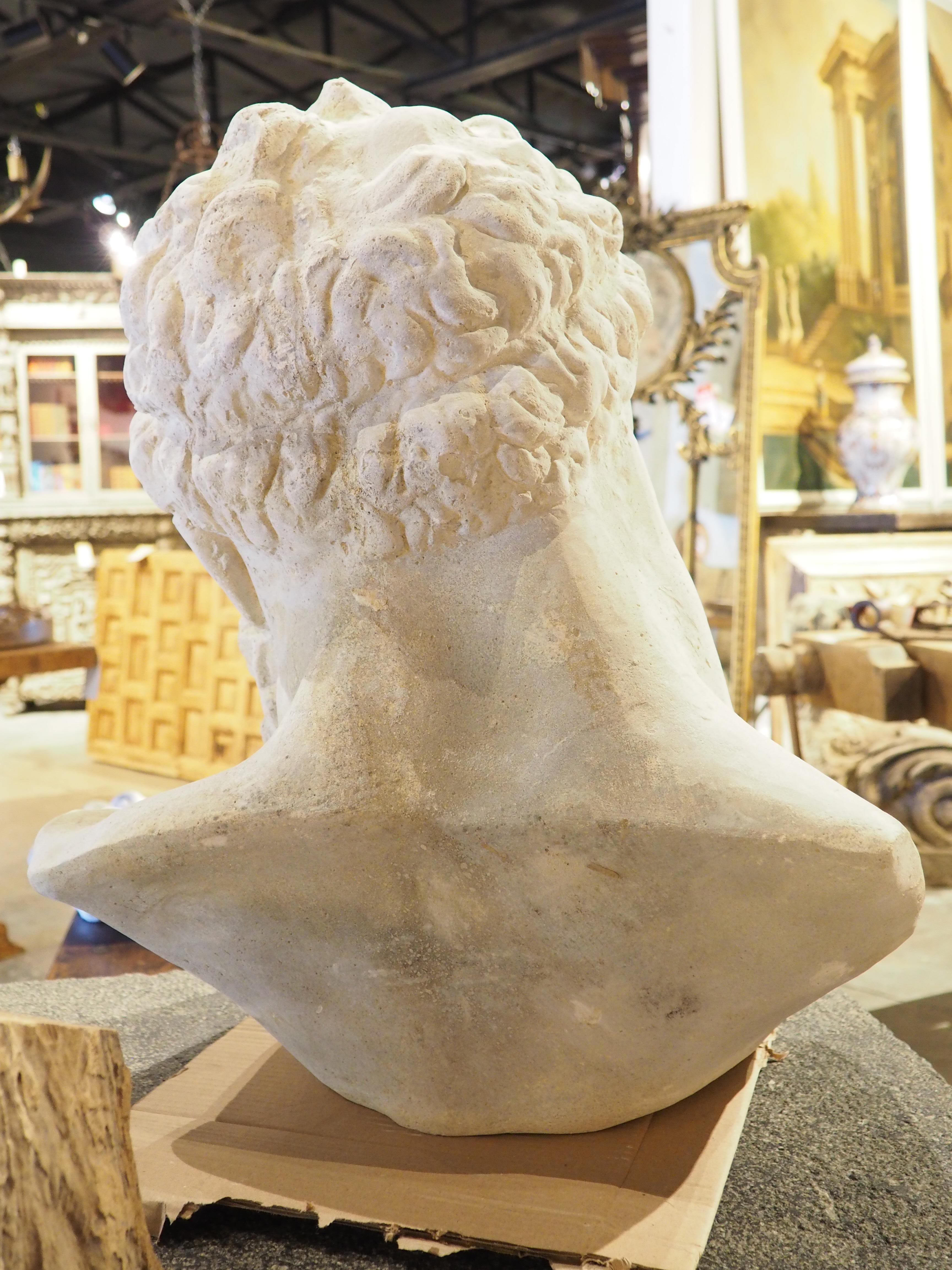 Large Italian Cast Limestone Bust of Hercules 5