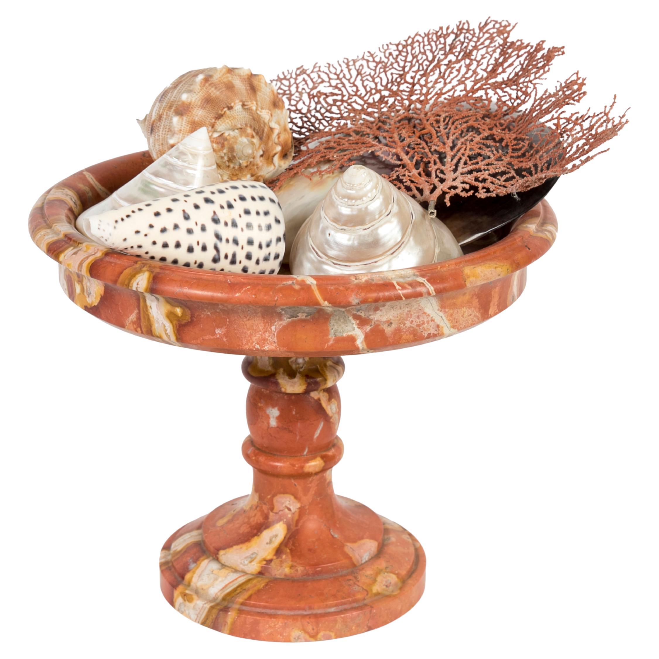 Grande tazza italiana in marmo rosso guarnita con un assortimento di conchiglie marine in vendita