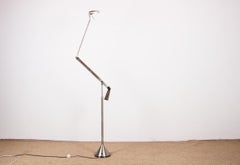Large Italian floor lamp "Zelig Terra" in Steel by Walter Monici for Lumina 1980
