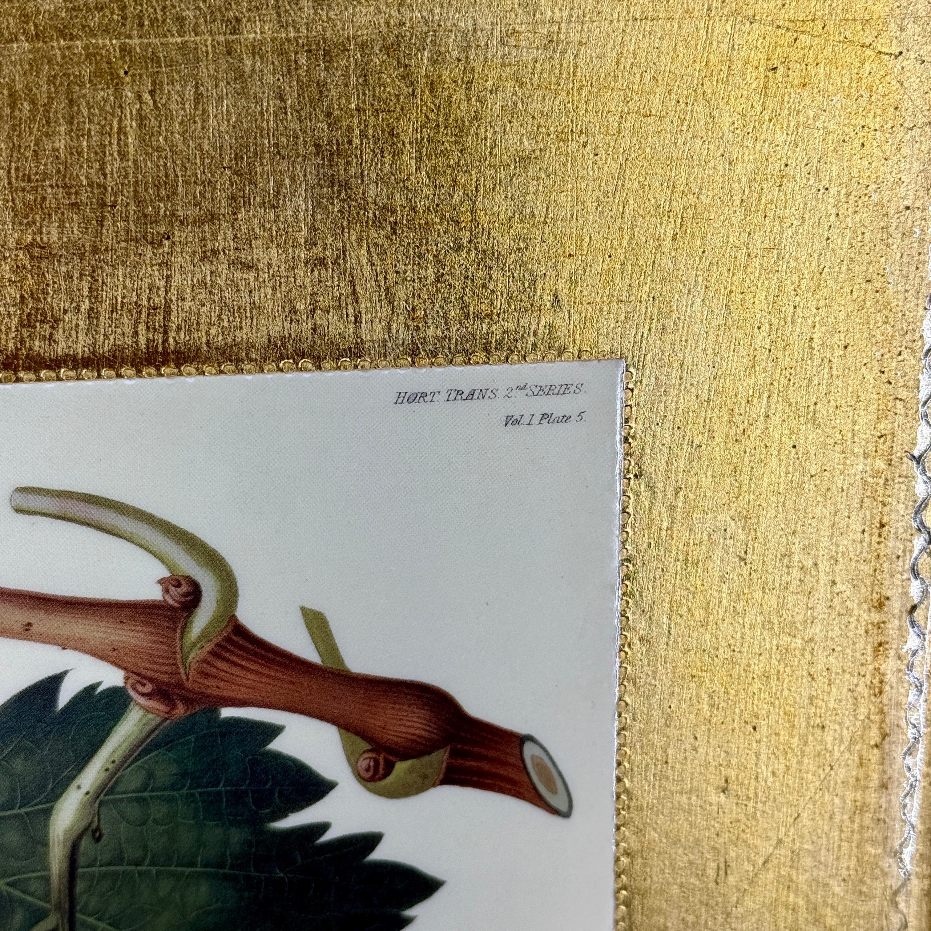 Large Italian Florentine Gilt Wood Gold Tray with Fruits en vente 3