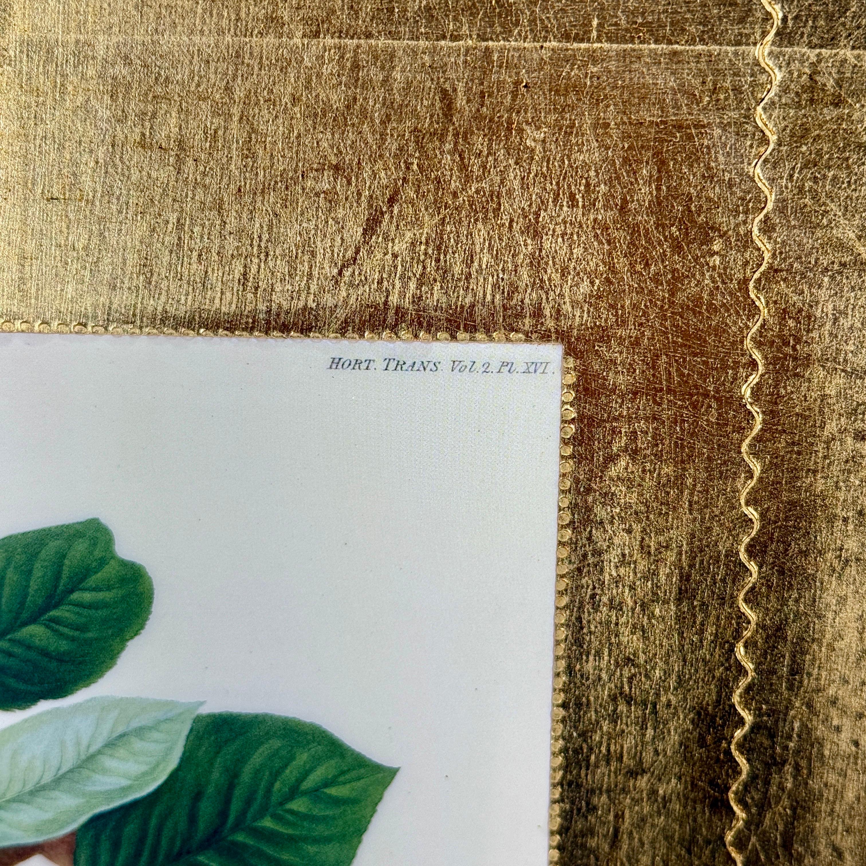 20ième siècle Large Italian Florentine Gilt Wood Gold Tray with Fruits en vente