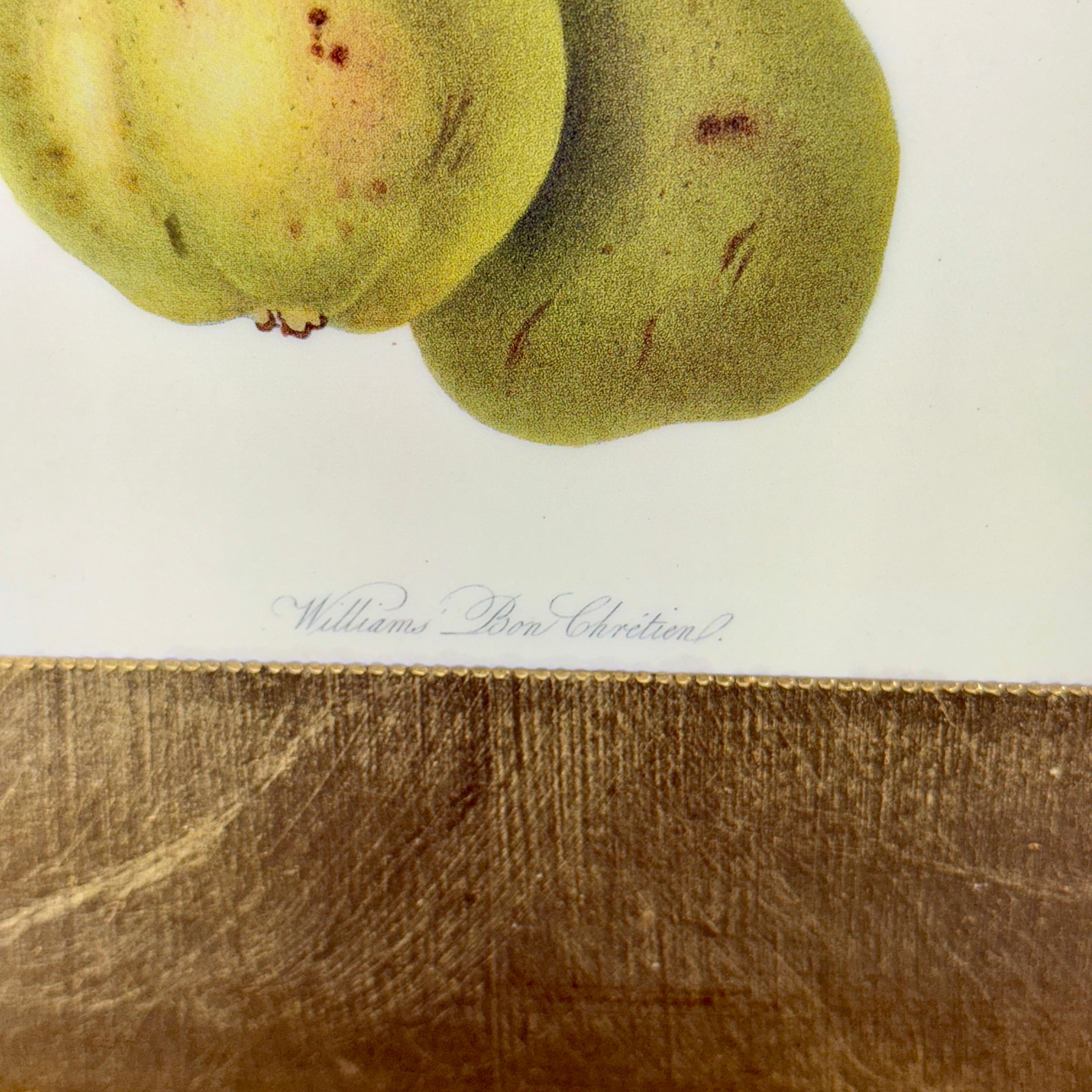 Large Italian Florentine Gilt Wood Gold Tray with Fruits en vente 1