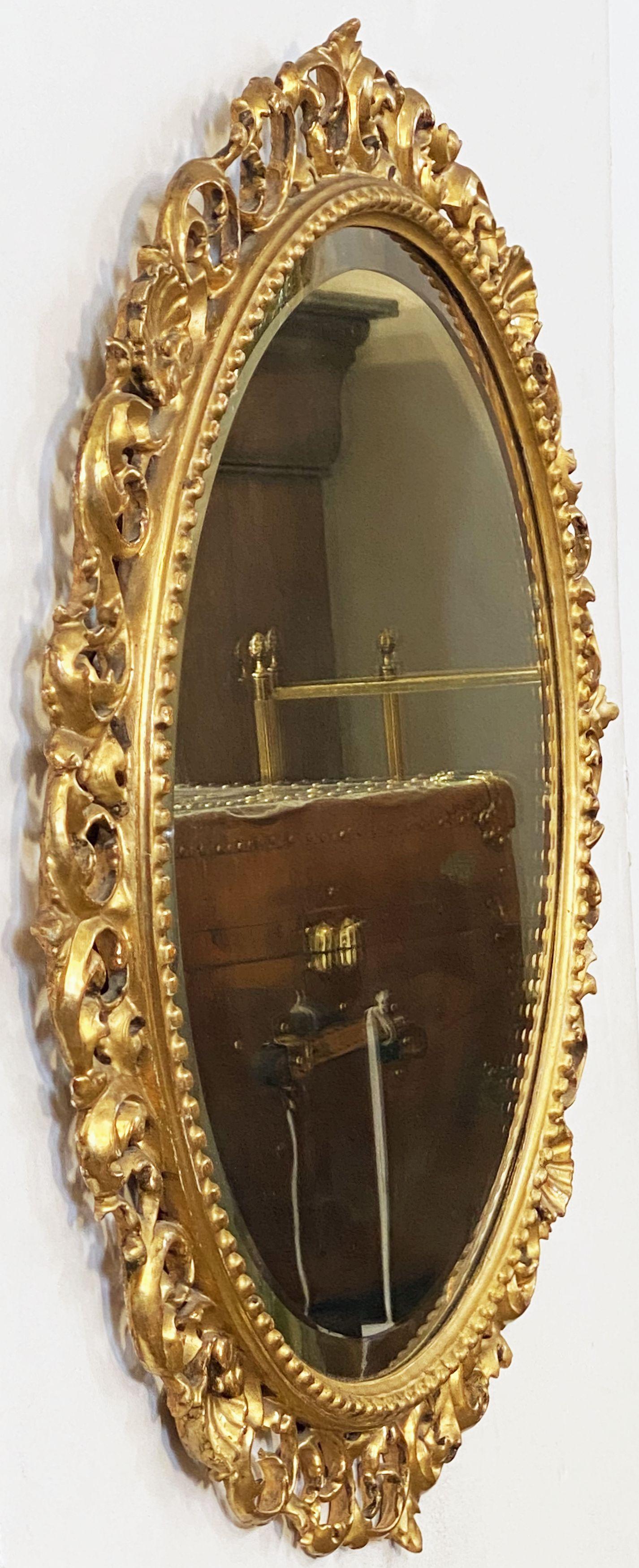Ein feiner italienischer runder Wandspiegel aus geschnitztem Goldholz, im Rokoko- oder Florentiner Stil, mit einer runden abgeschrägten Spiegelplatte, umgeben von durchbrochenen Blattranken und Muscheln. 

Mit originalem Geschäftsetikett: Henry