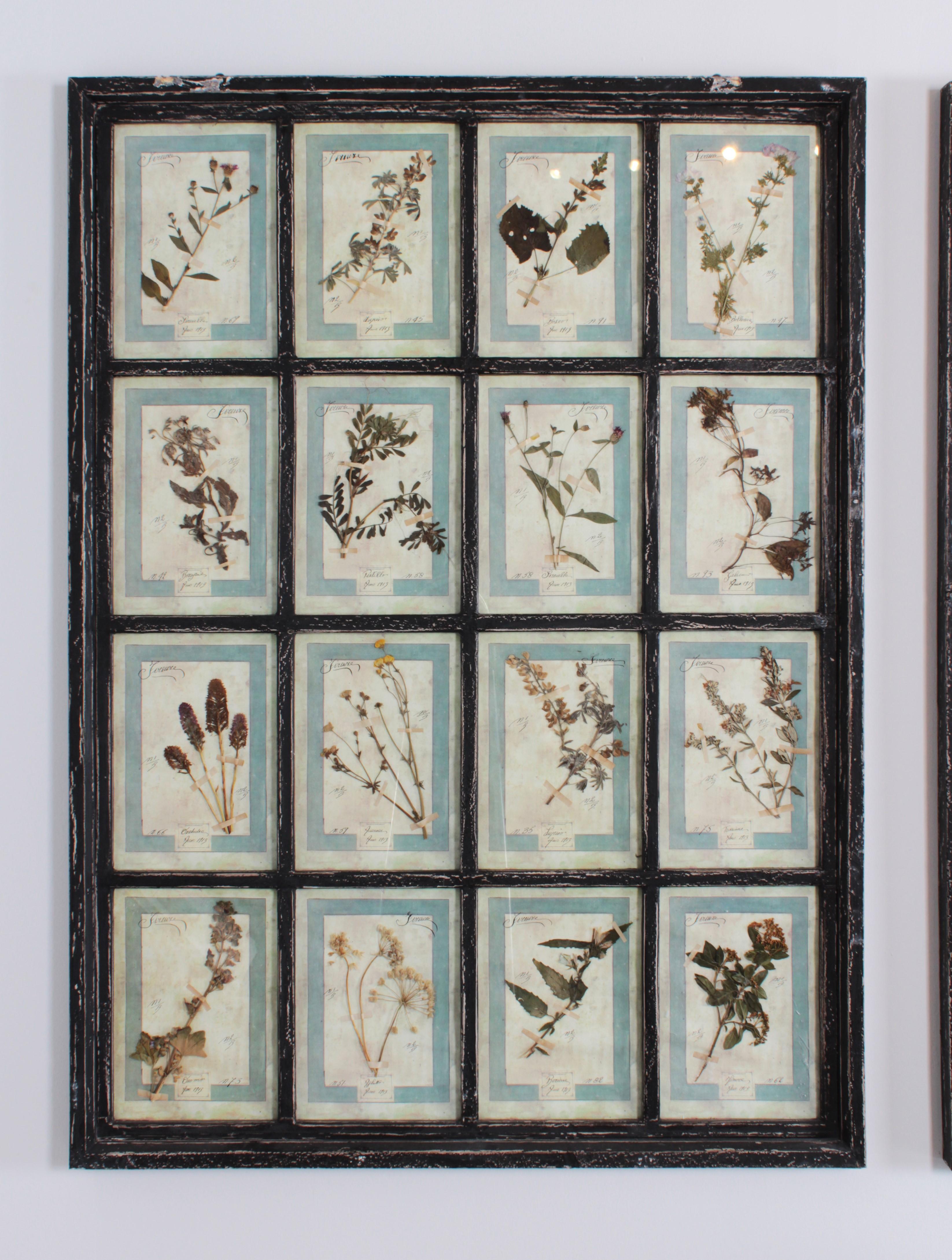 Großes italienisches Herbarium, 3 Pieces mit je 16 Pflanzenstudien im Zustand „Gut“ im Angebot in Greven, DE