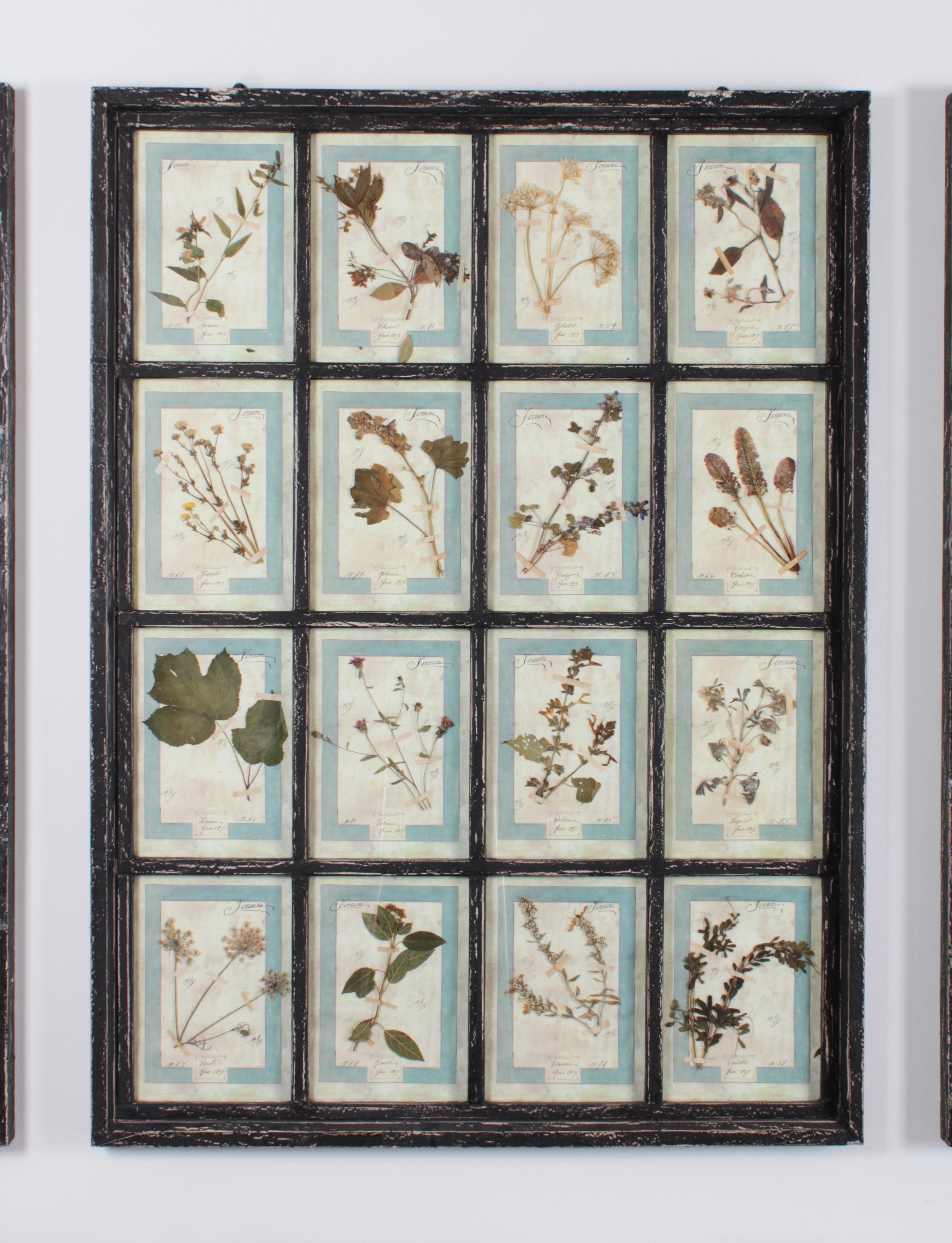 Glass Large Italian Herbarium, 3 Pieces with each 16 Plant Studies For Sale