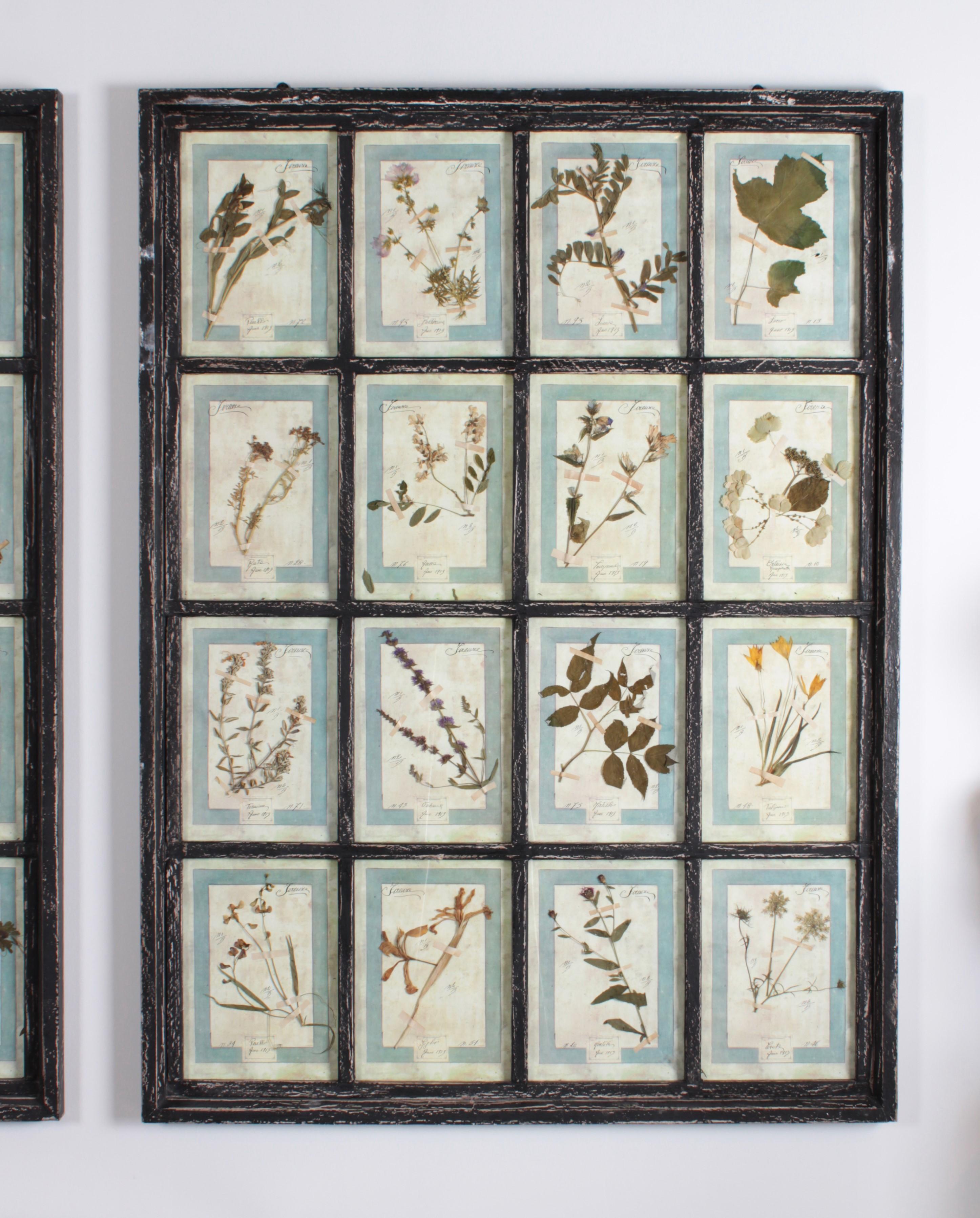 Großes italienisches Herbarium, 3 Pieces mit je 16 Pflanzenstudien (Glas) im Angebot