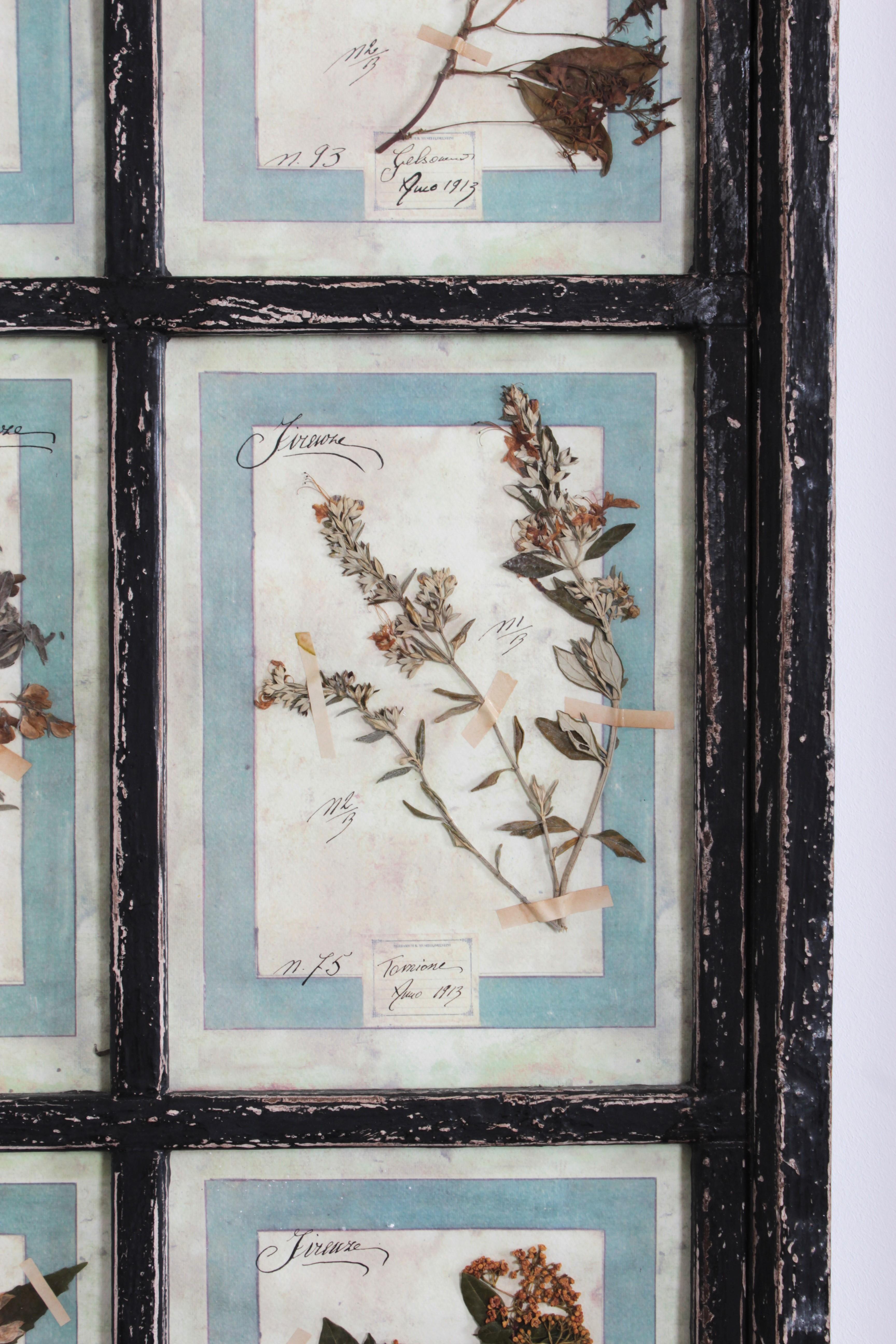 Large Italian Herbarium, 3 Pieces with each 16 Plant Studies For Sale 4