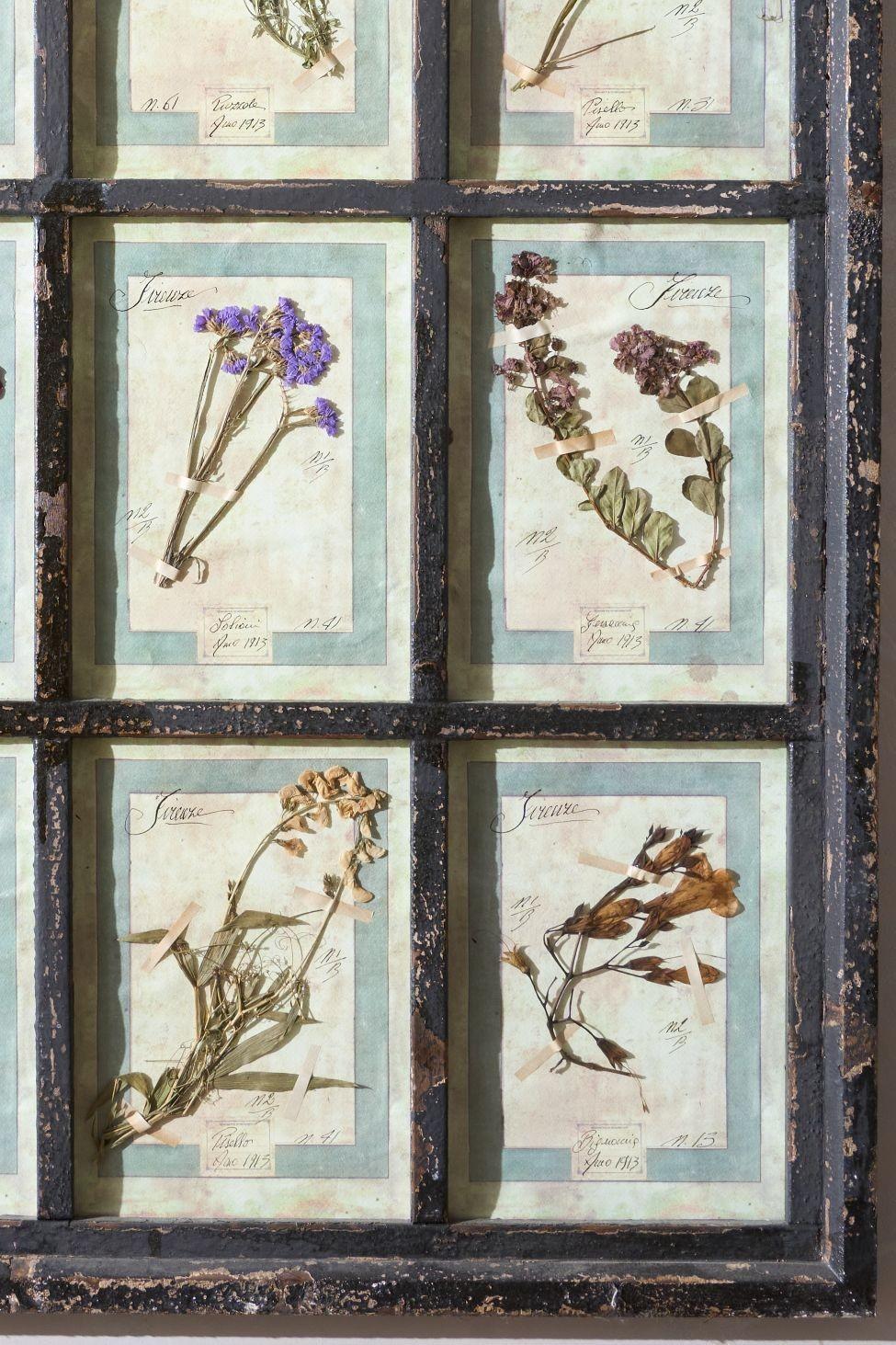Großer italienischer Aquarell-Pflanzgefäßstudienrahmen - Nr. 1 im Zustand „Hervorragend“ im Angebot in Malton, GB