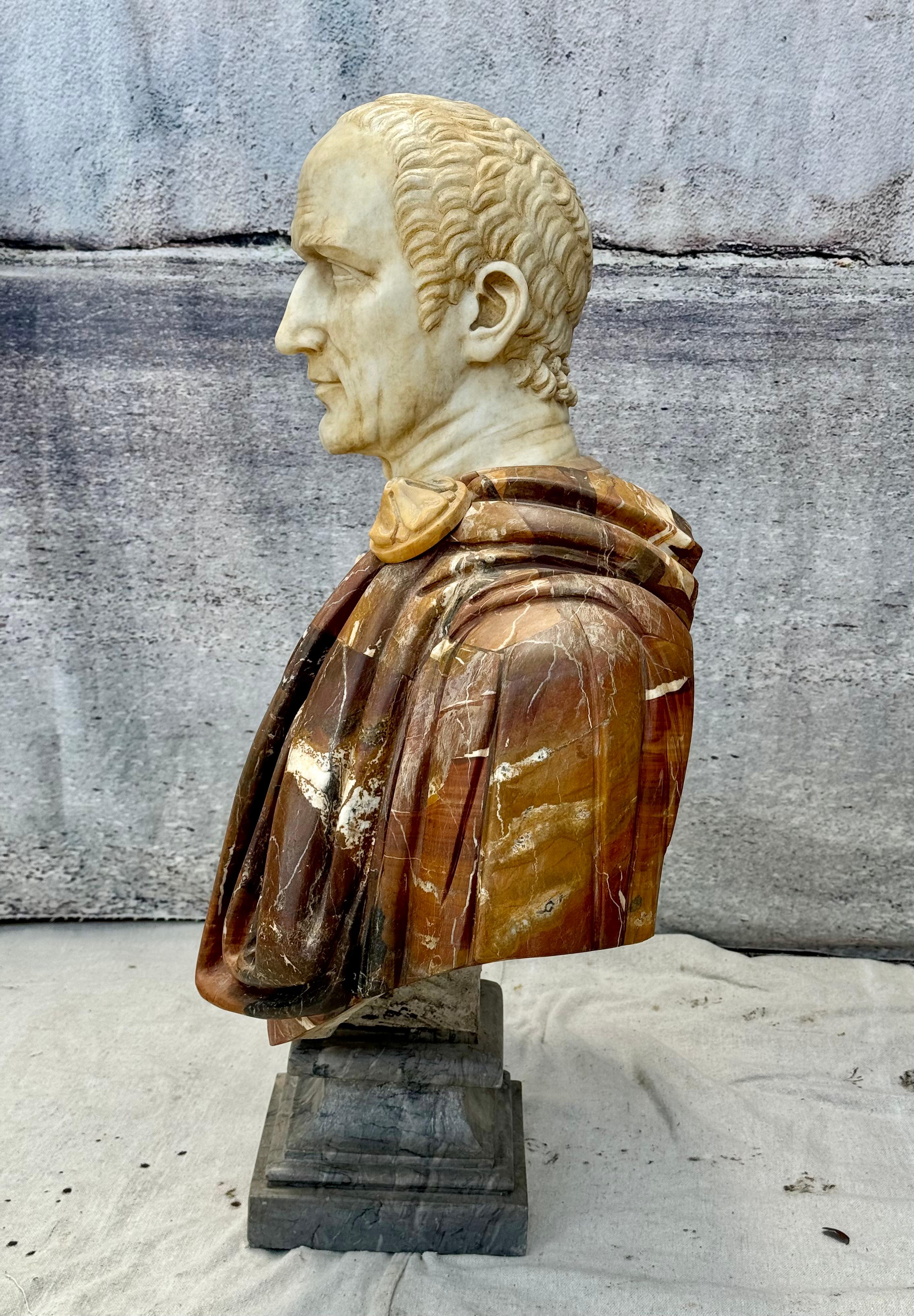 Große italienische Marmorbüste des Kaisers Julius Caesar aus gemischtem Marmor im Angebot 4