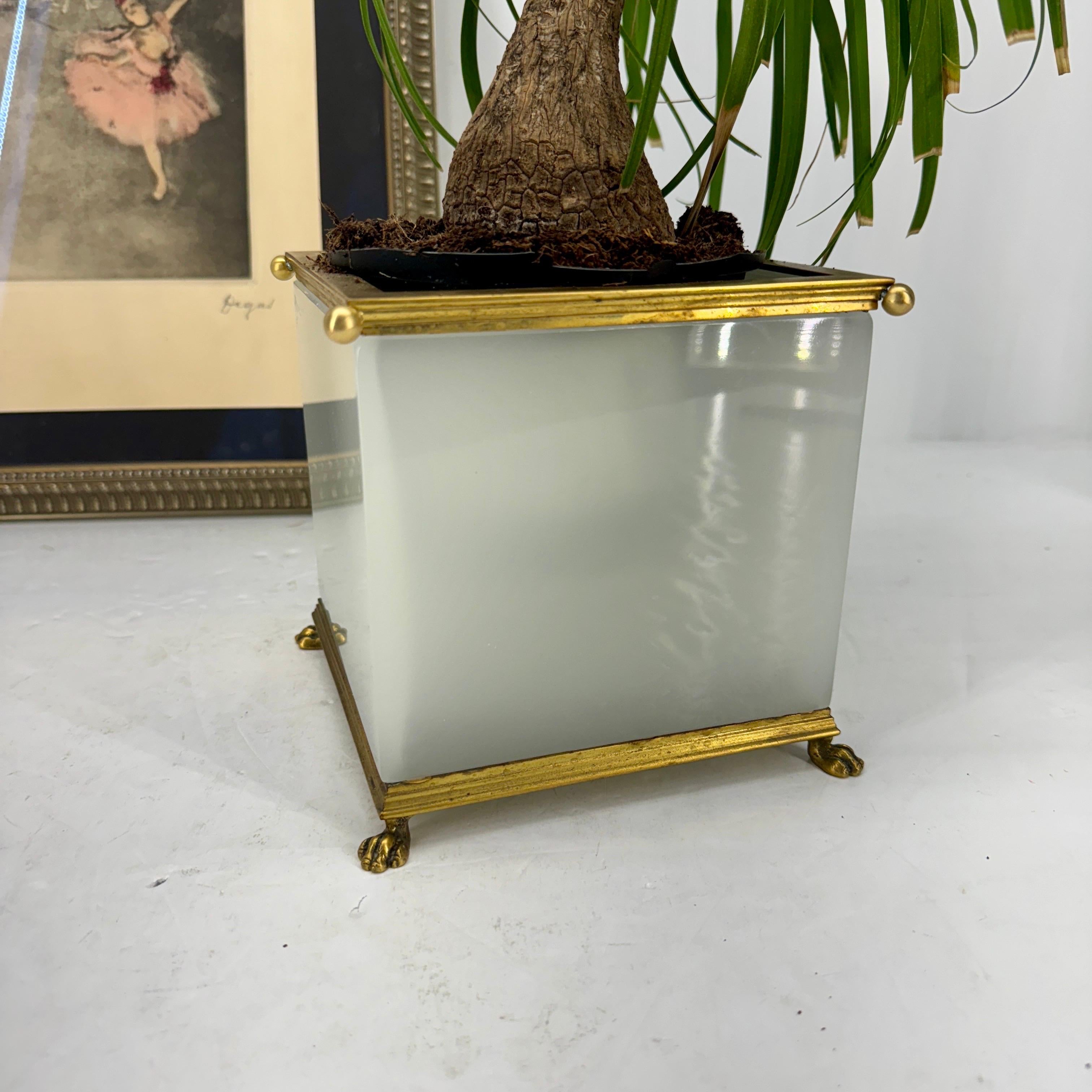 20th Century Large Italian Opaline Glass Planter Jardiniere