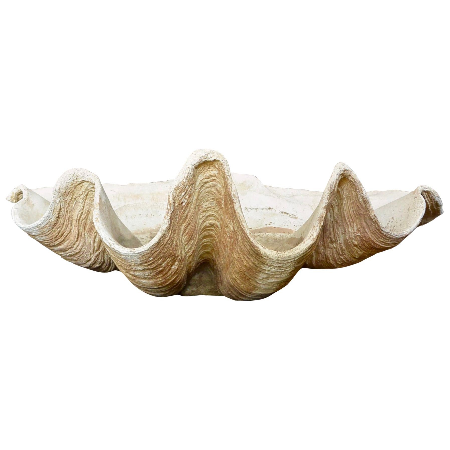 Large Italian Scagliola Shell For Sale