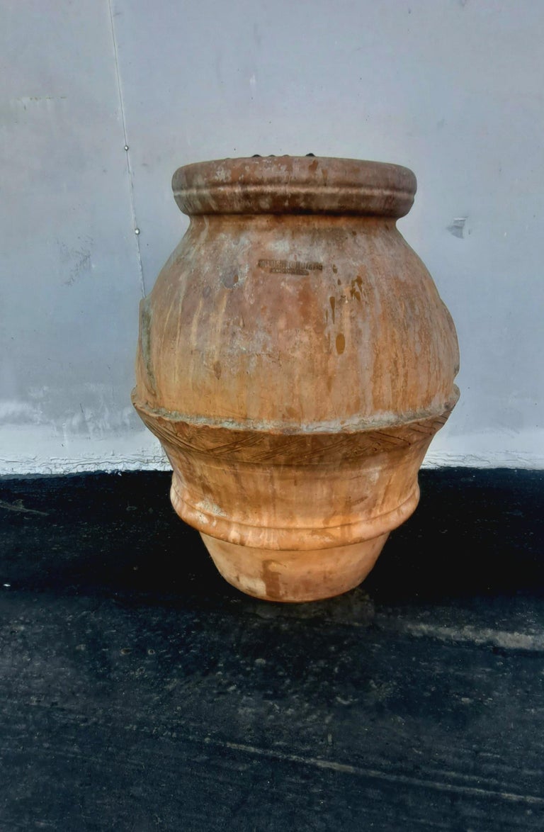 Large Italian Terracotta Olive Jar, Jardinière Planter For Sale at