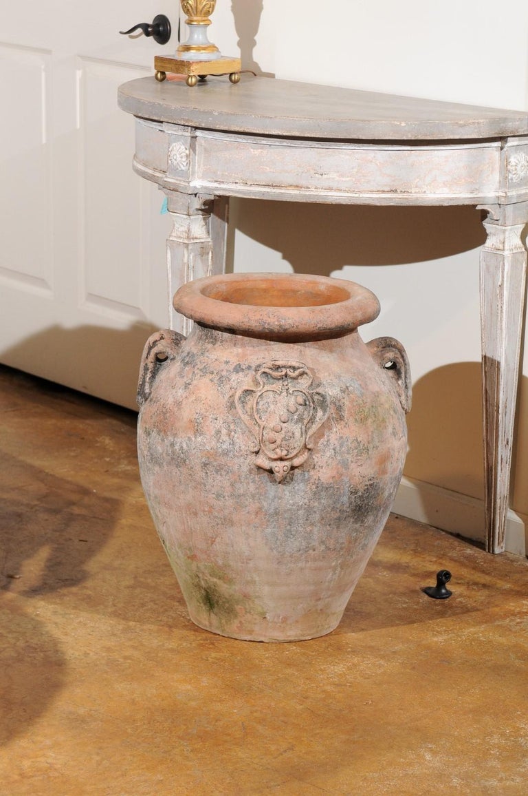 Large Italian Terracotta Olive Jar Jardinière Planter with Family Heraldic Crest at 1stDibs