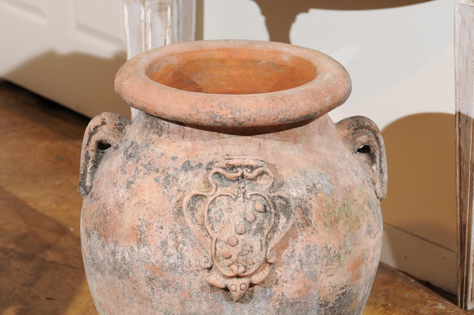 Large Italian Terracotta Olive Jar Jardinière Planter with Family