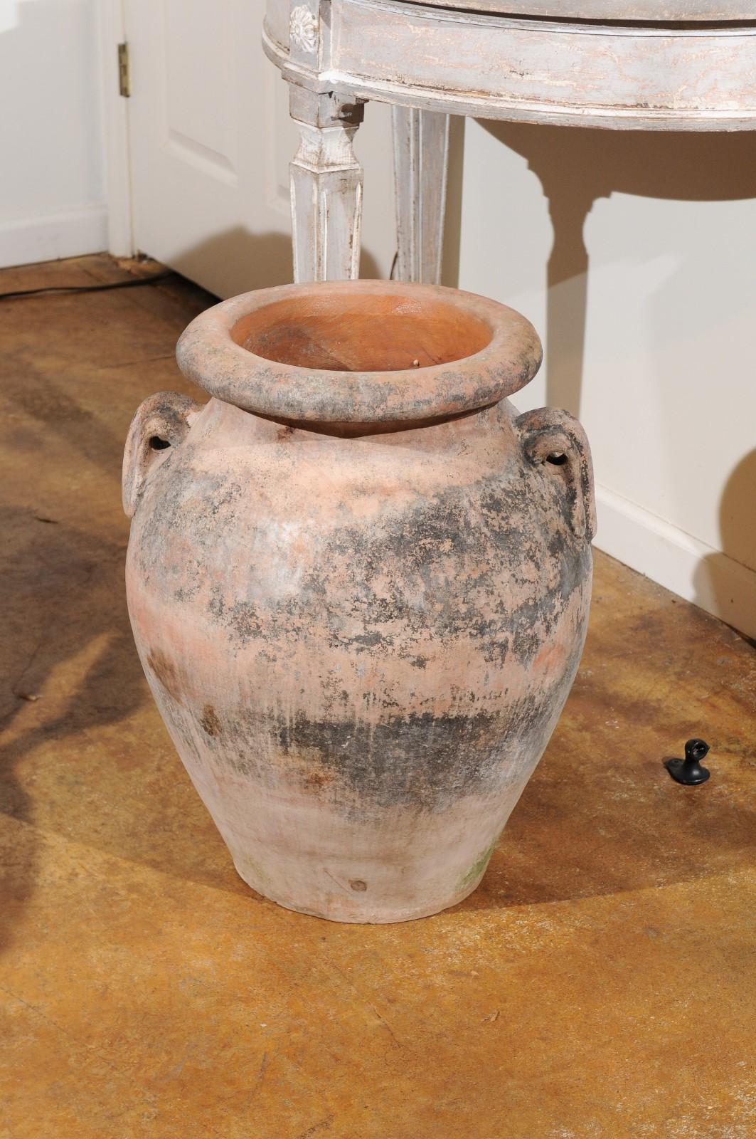 20th Century Large Italian Terracotta Olive Jar Jardinière Planter with Family Heraldic Crest