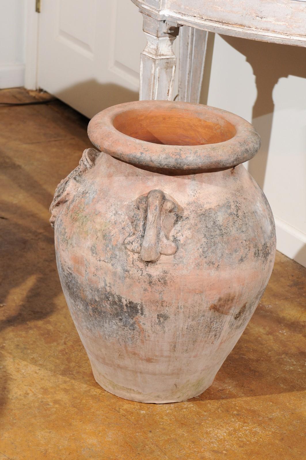 Large Italian Terracotta Olive Jar Jardinière Planter with Family Heraldic Crest 1