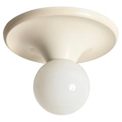 Wall Lights and Sconces