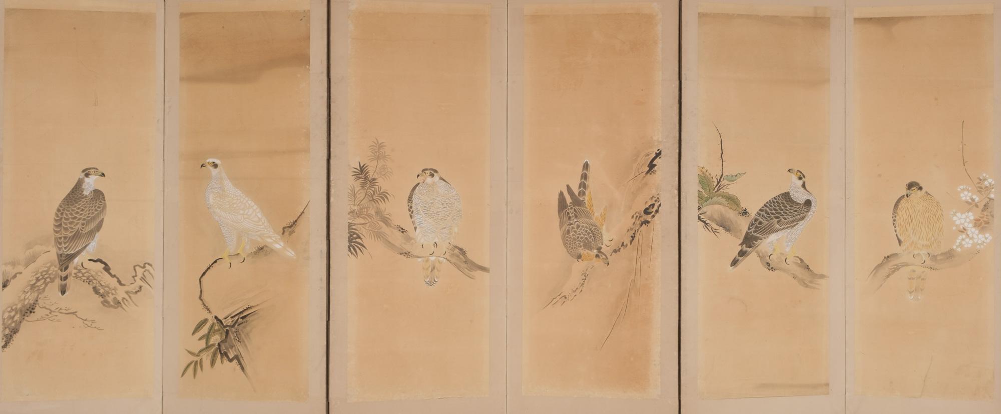 Wonderful large six-panel byôbu (folding screen) covered with six separate hanging scroll paintings (kakejiku) depicting different taka (hawks) perched on rocks and branches situated in different seasons.

Their fearsome beauty and predatory